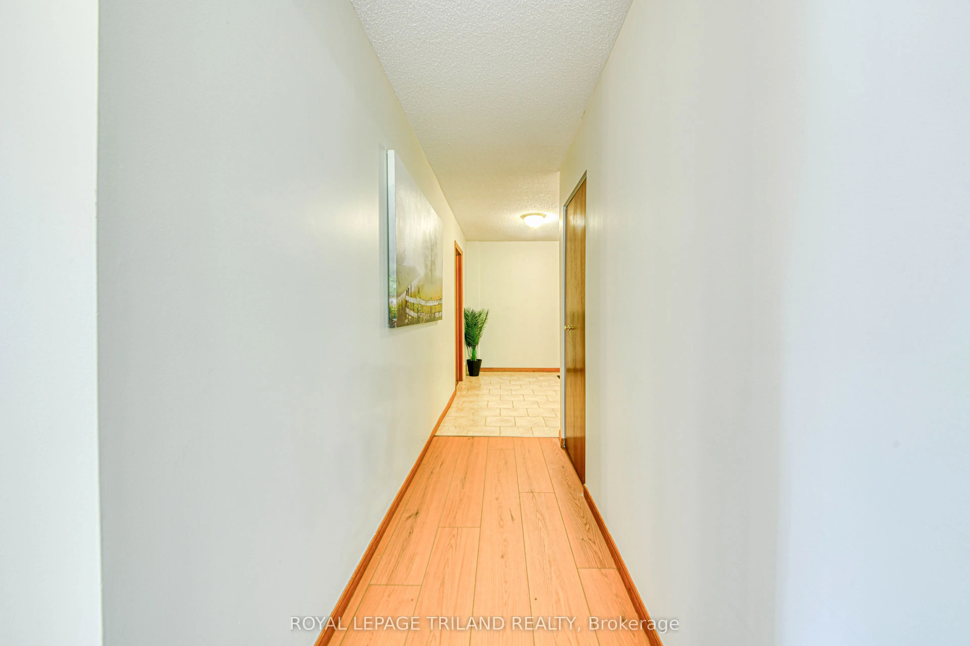 4 Albert Street, #206