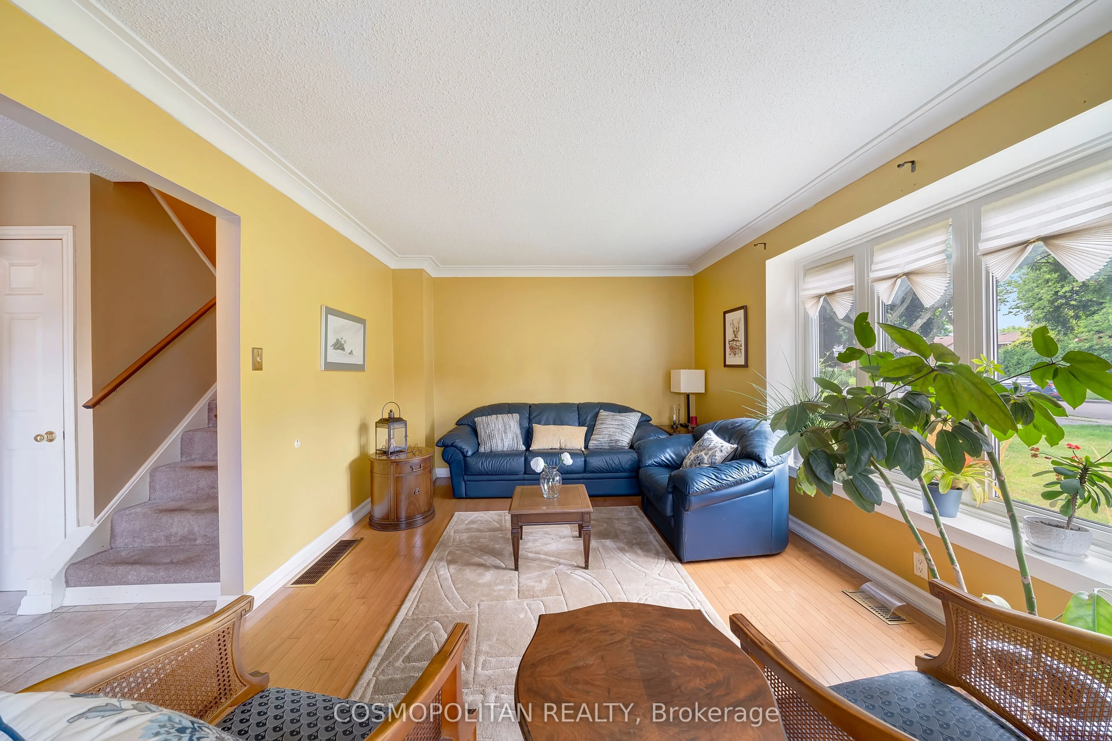 249 Magnolia Drive