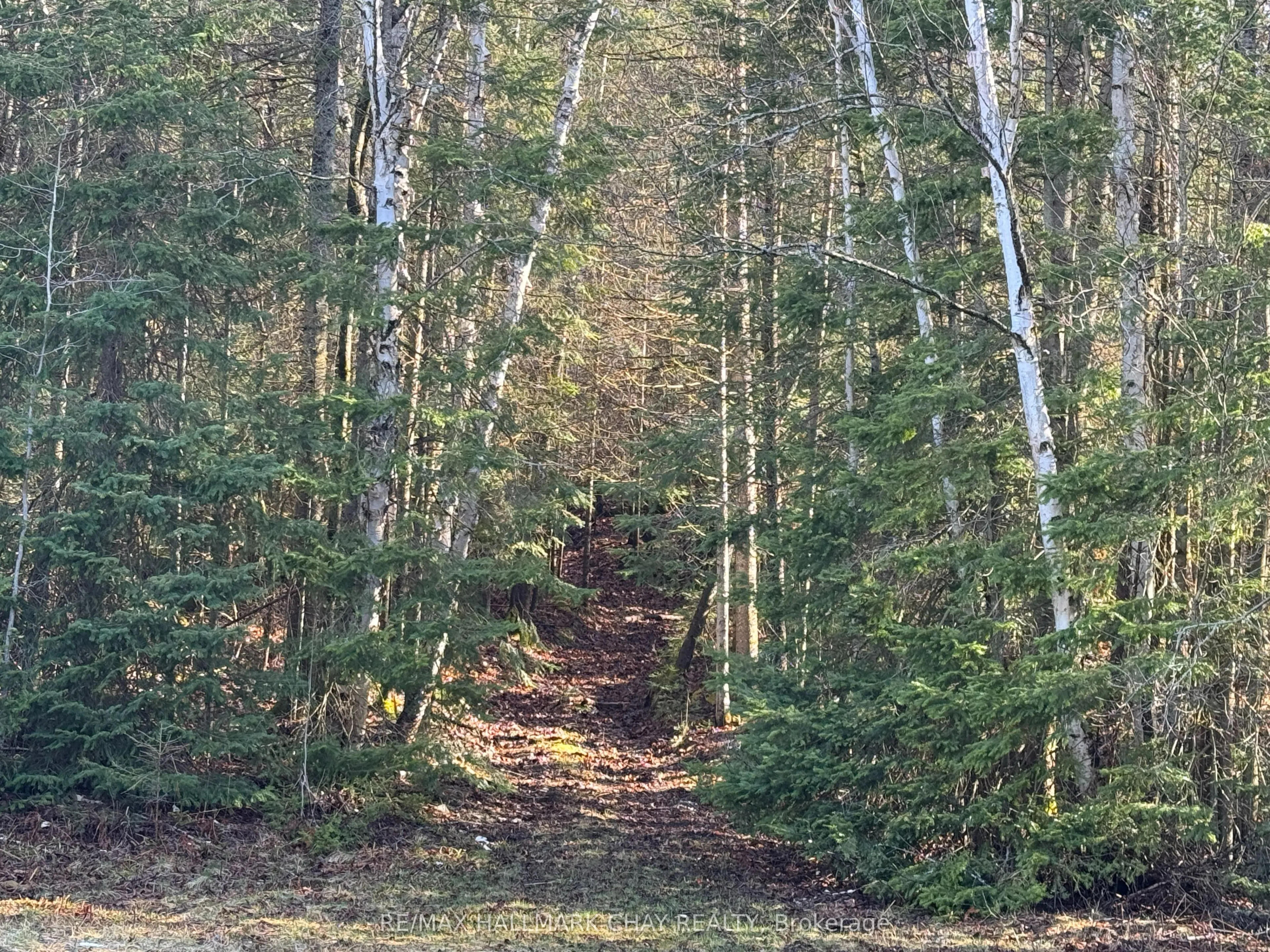 2318 Pickerel & Jack Lake Road