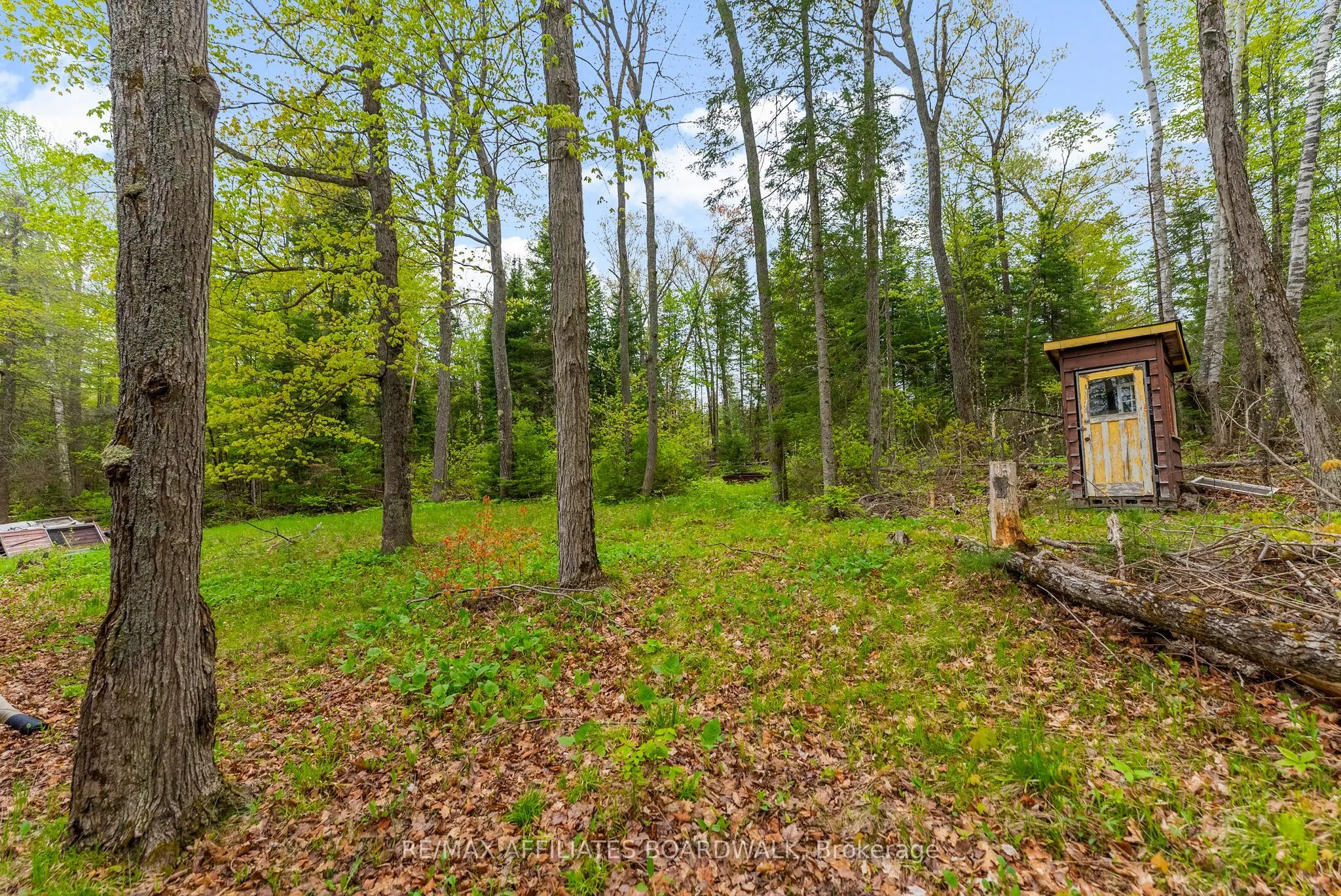 593 Mazinaw Lake