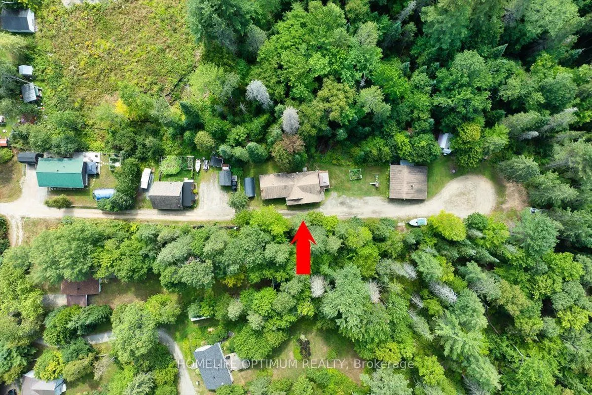 788 Muskoka Rd. 3 Road N