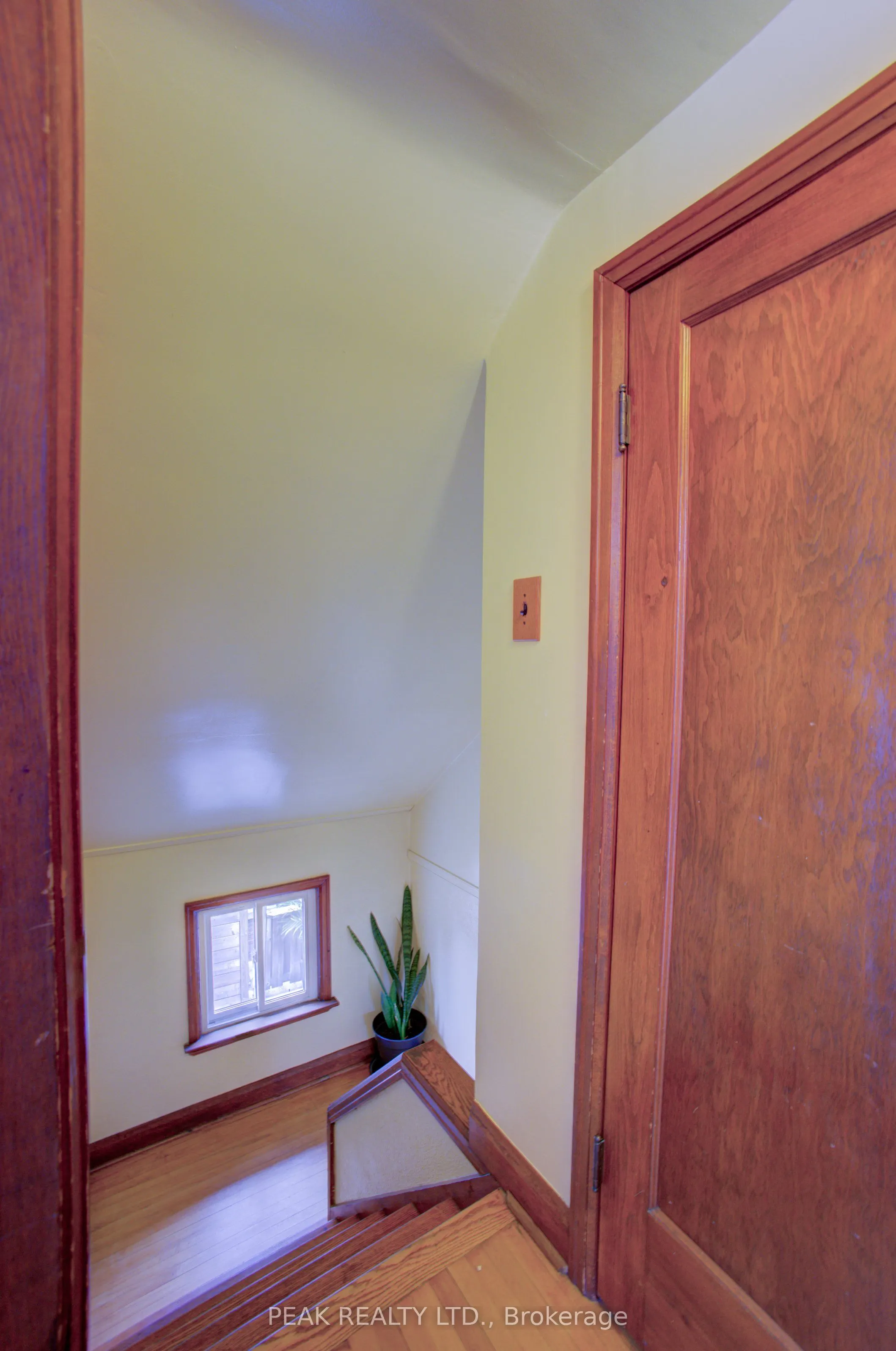 20 Dunham Avenue