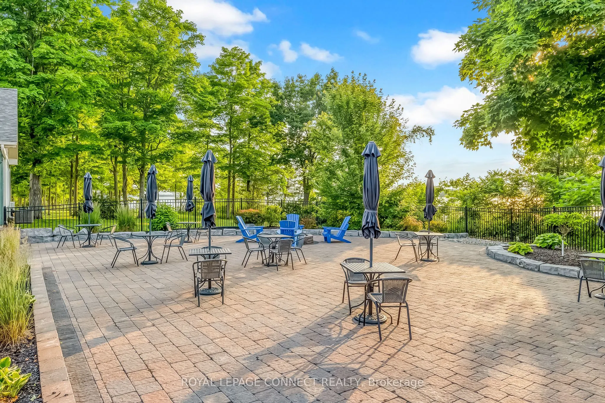 50 Hollow Lane, #209