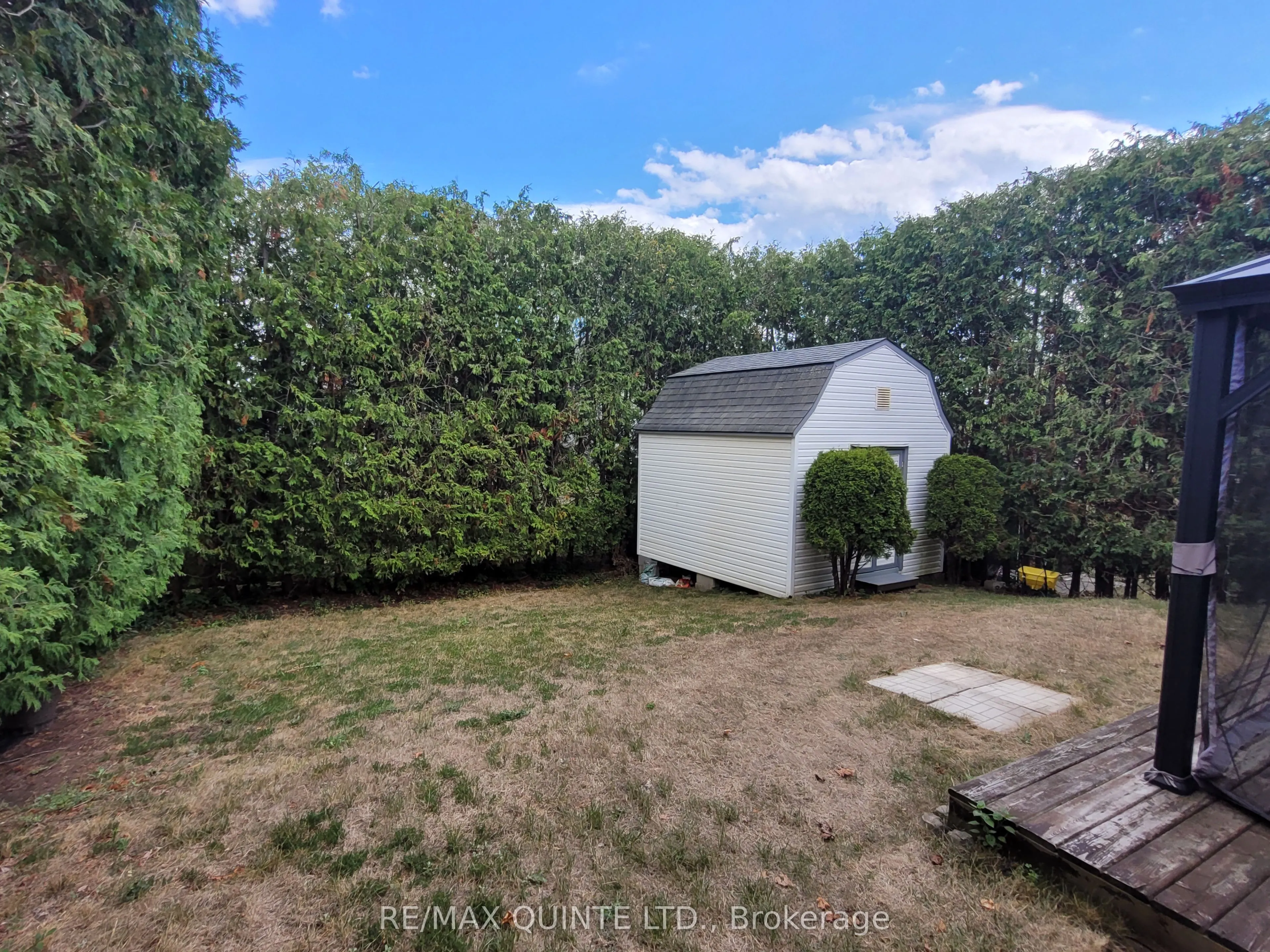 107 University Avenue