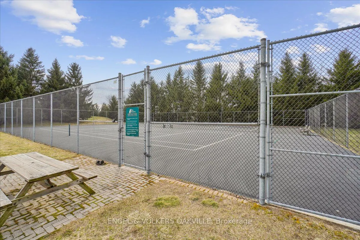 36 White Bark Way