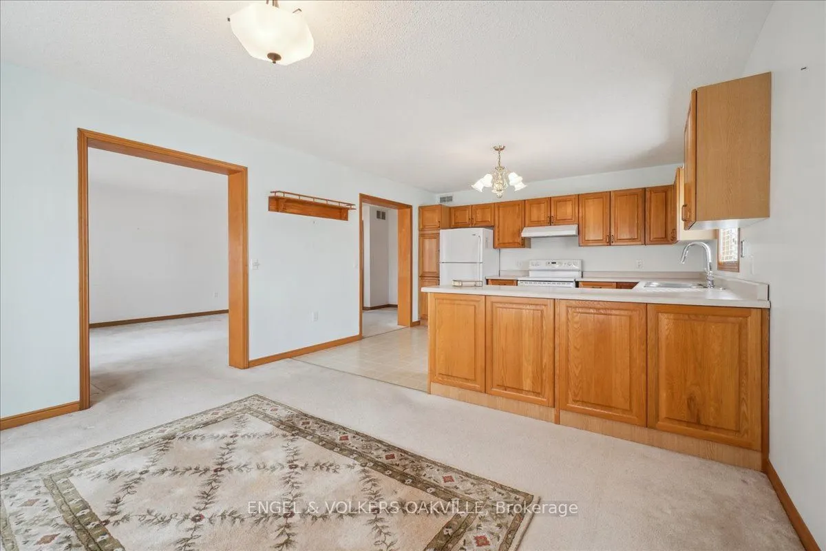 36 White Bark Way