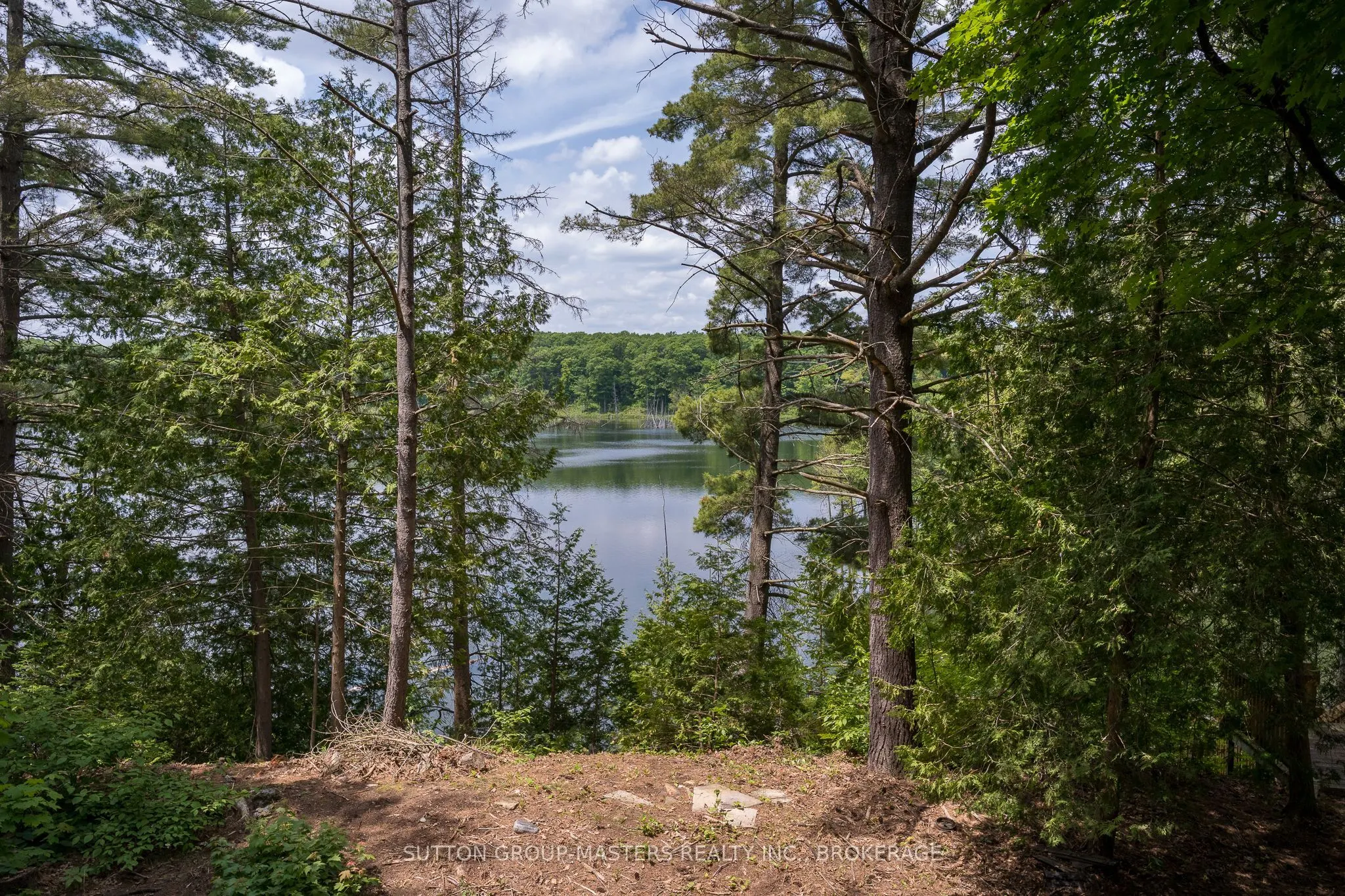 313 Raccoon Lake Trail Road