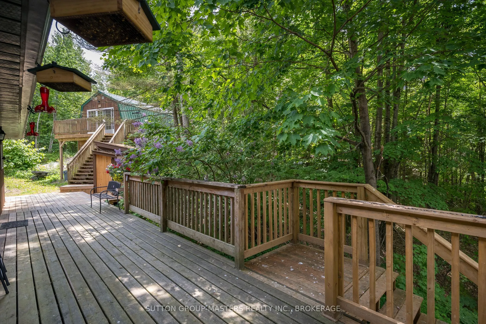 313 Raccoon Lake Trail Road