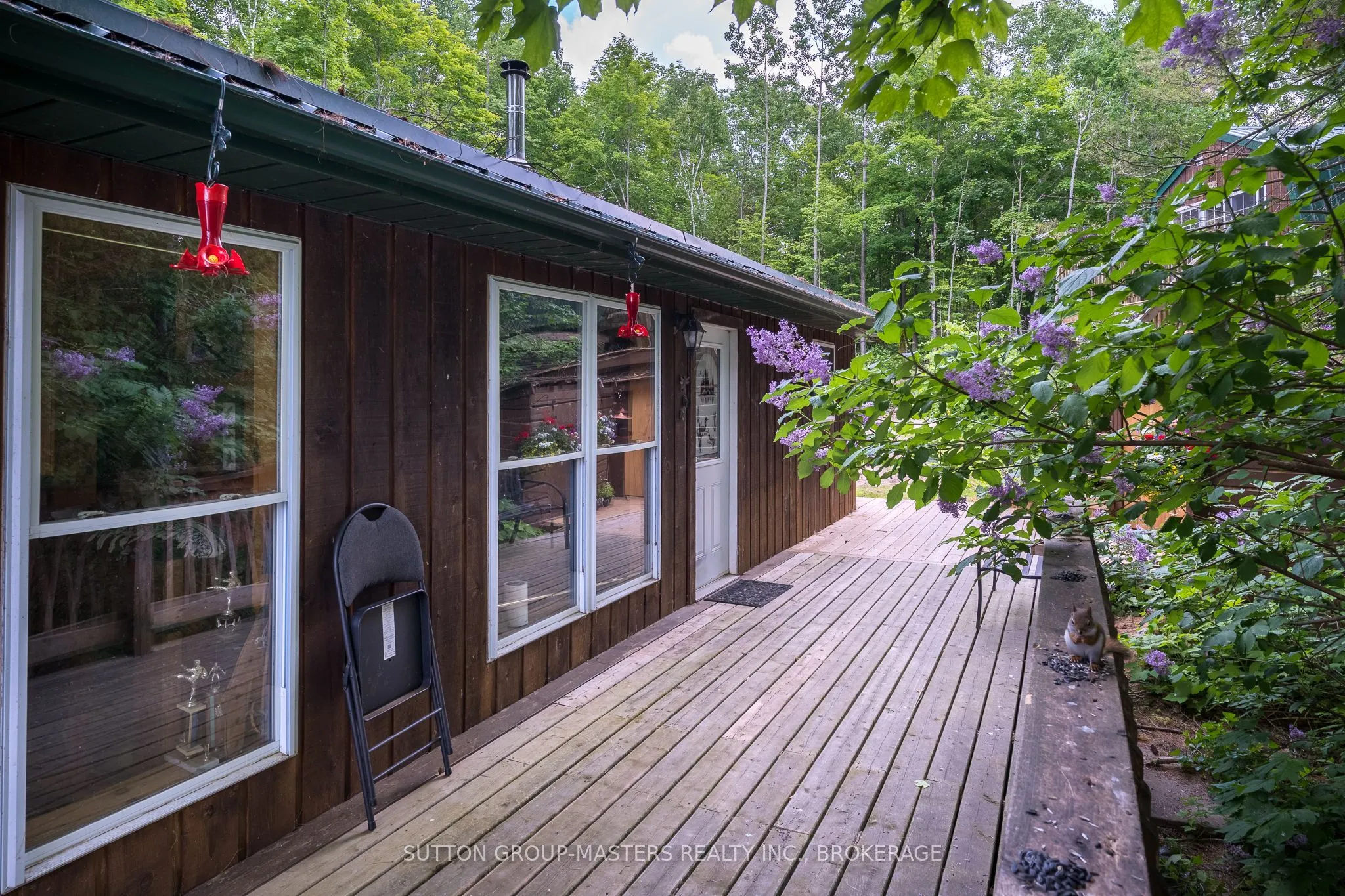 313 Raccoon Lake Trail Road