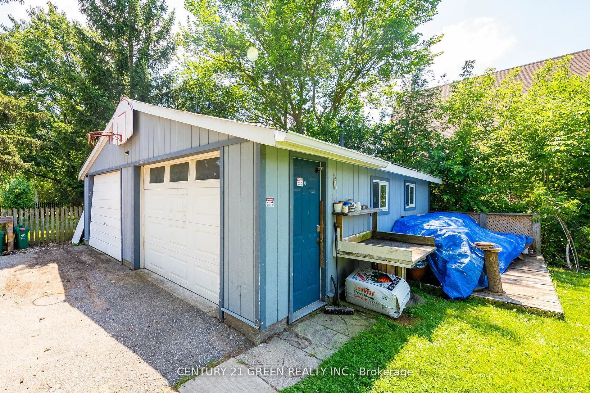 50 Elgin Street S