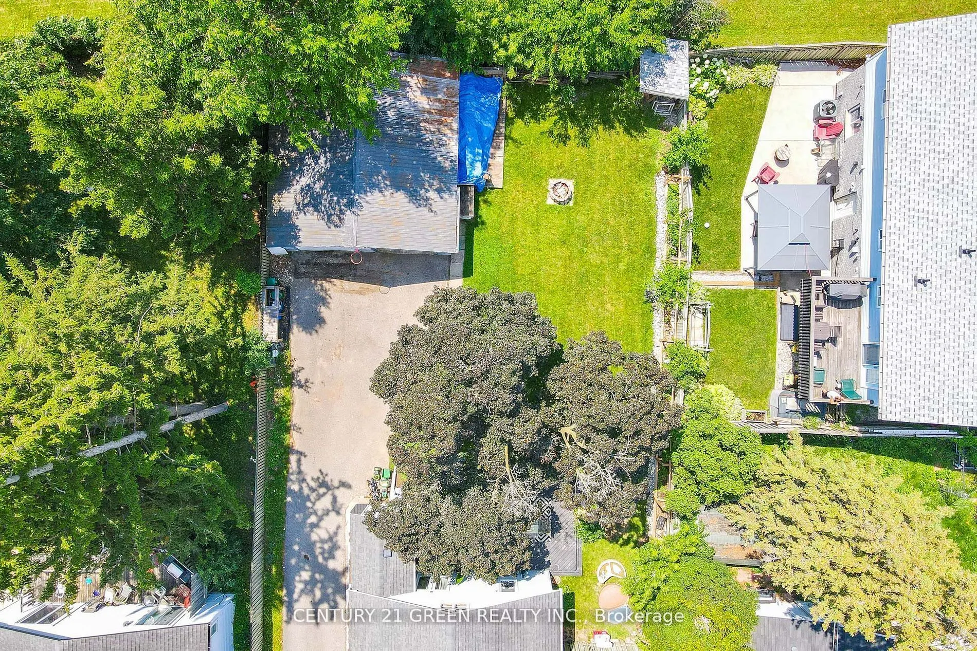 50 Elgin Street S