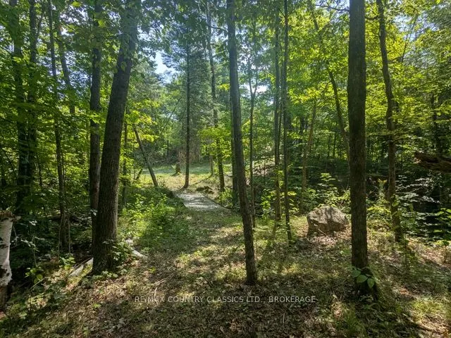 1251 Buckshot Lake Road