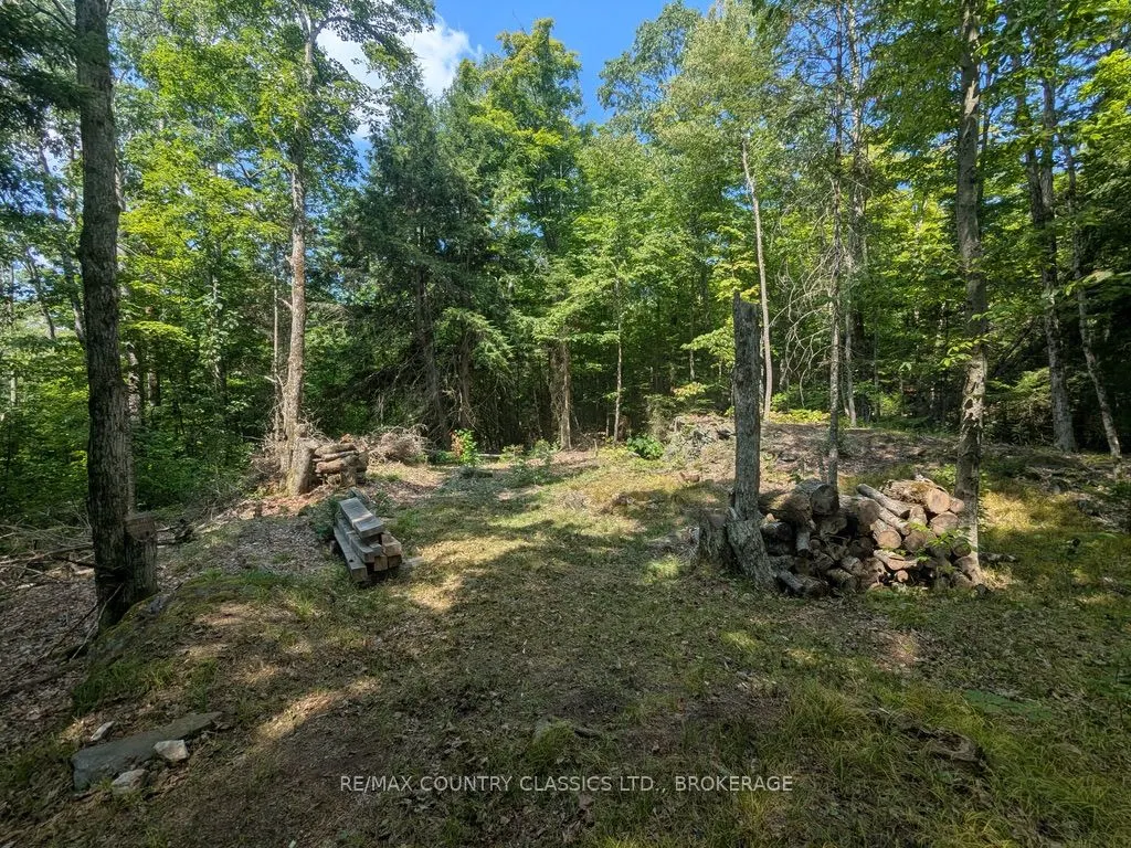 1251 Buckshot Lake Road