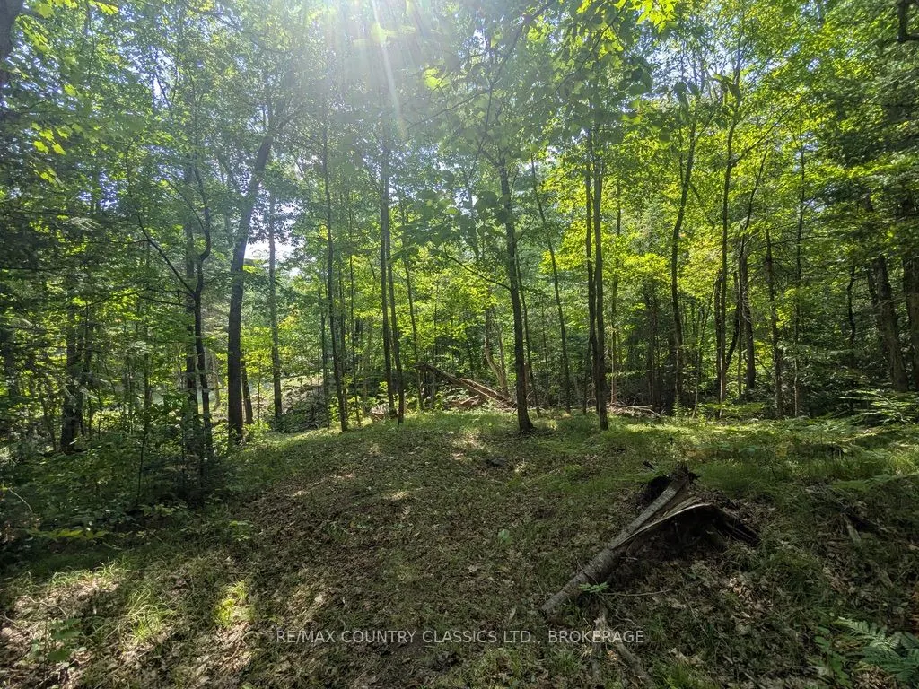 1251 Buckshot Lake Road