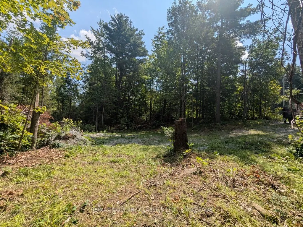1251 Buckshot Lake Road