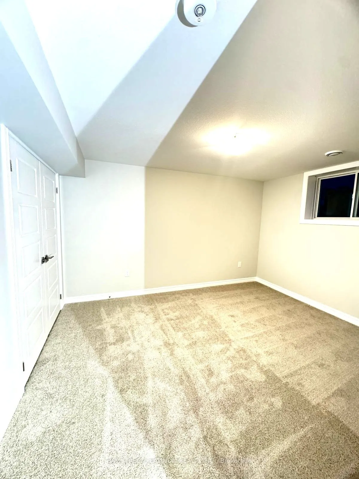 65 Wiley Trail E