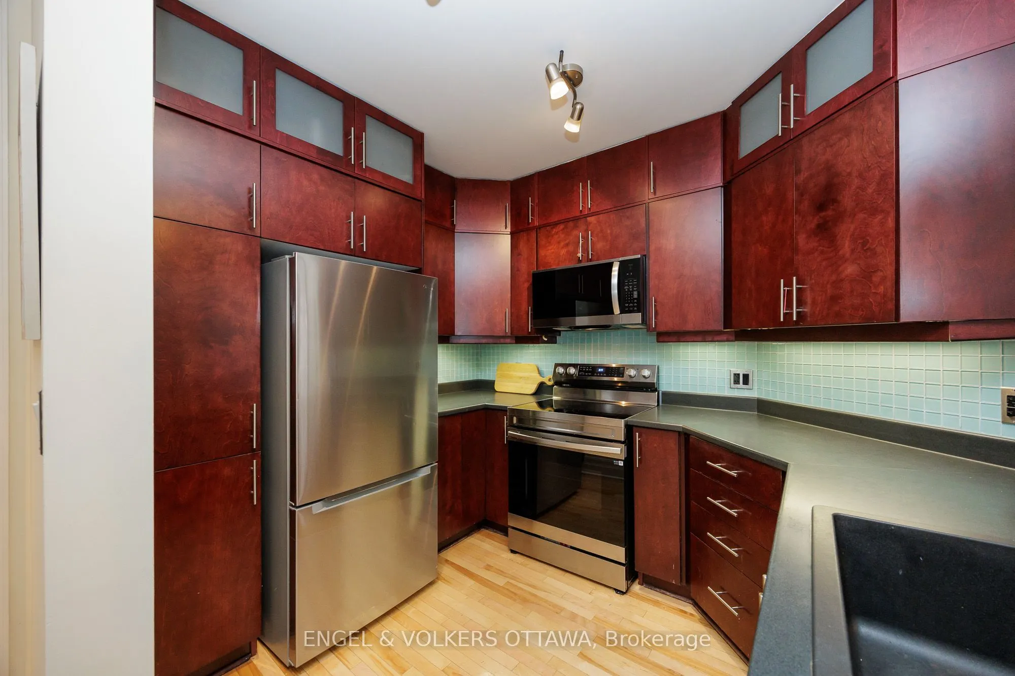 375 Lisgar Street, #203