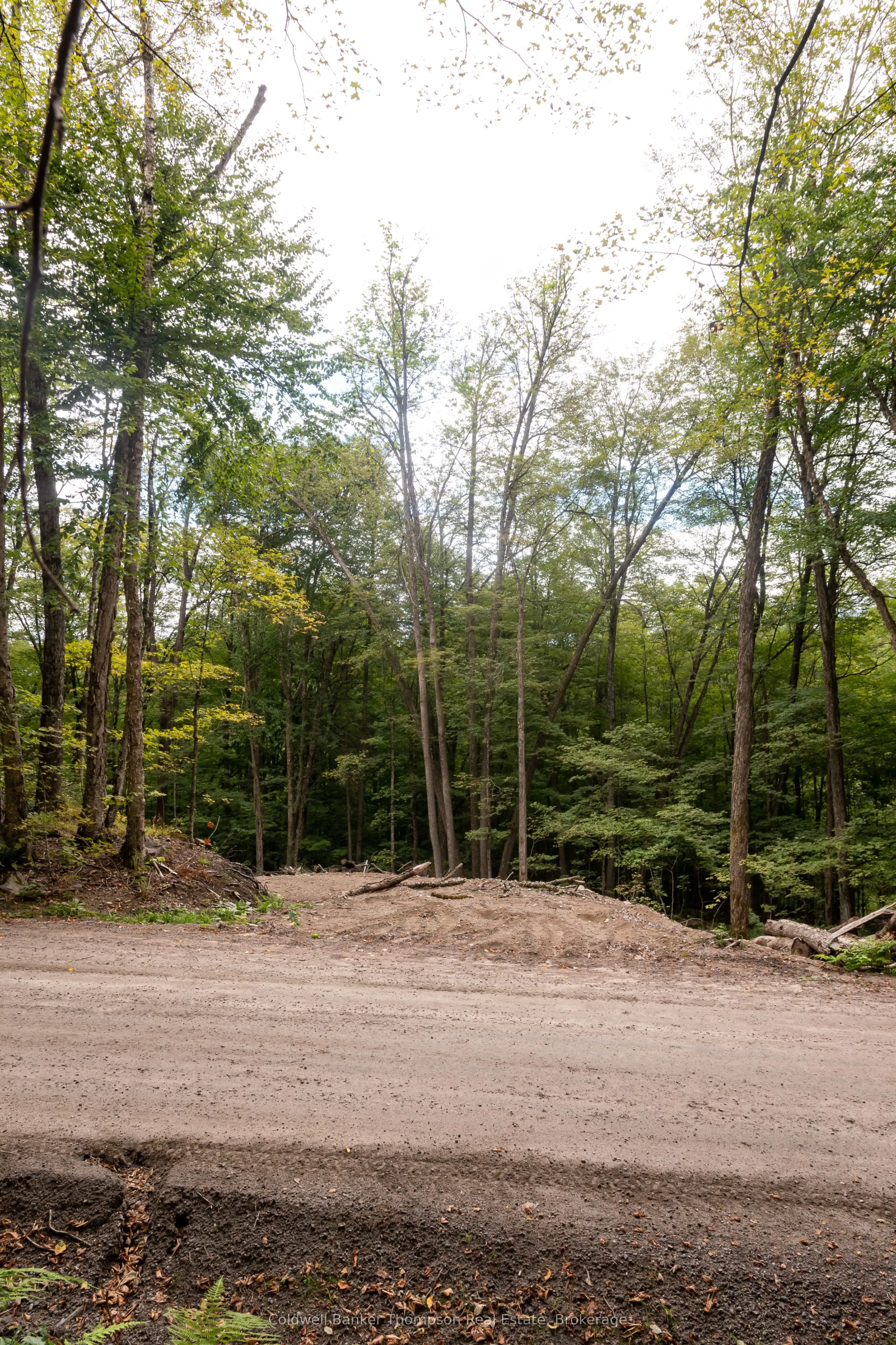 Lot 4 Emsdale Lake Road