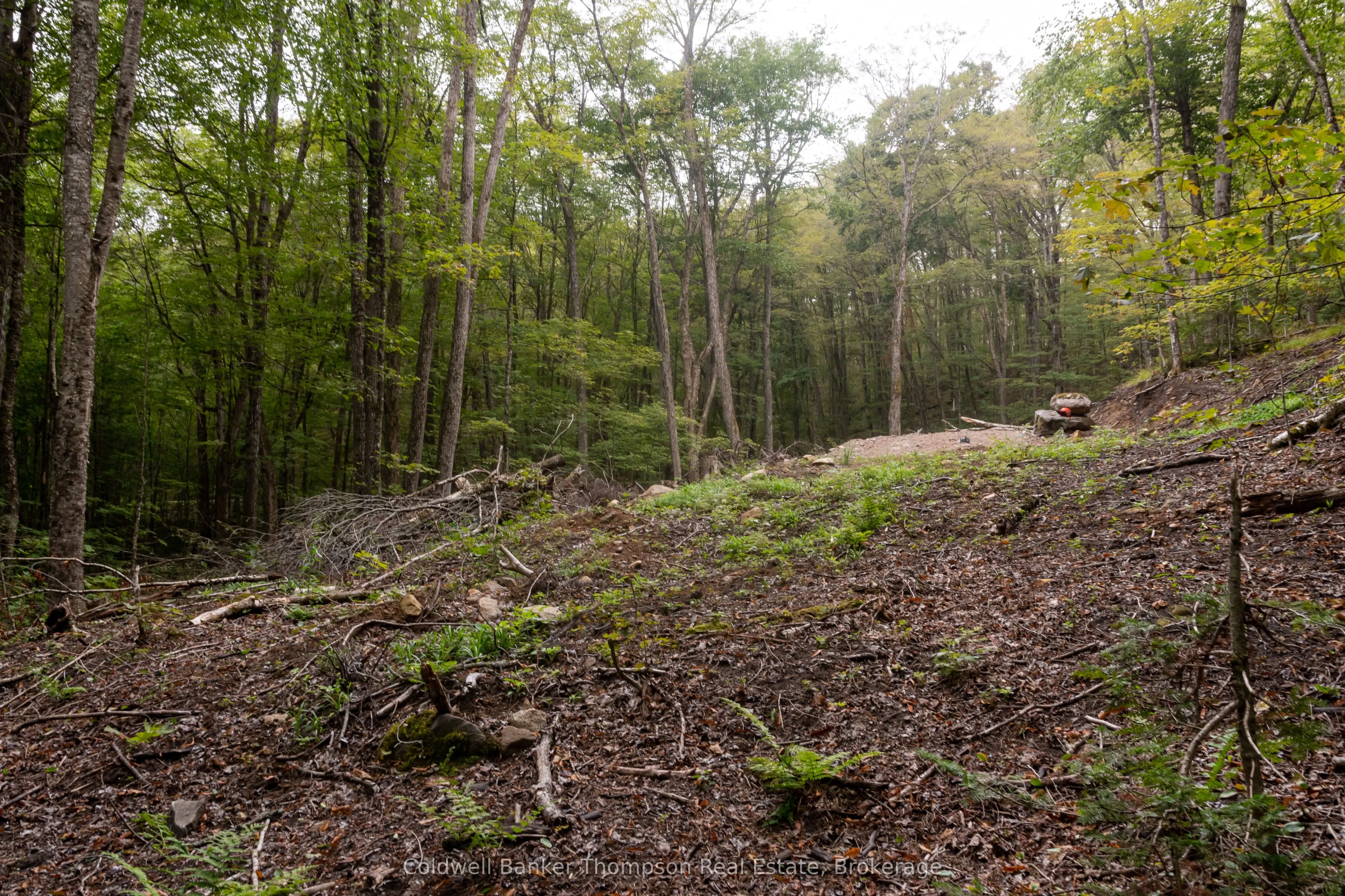Lot 4 Emsdale Lake Road