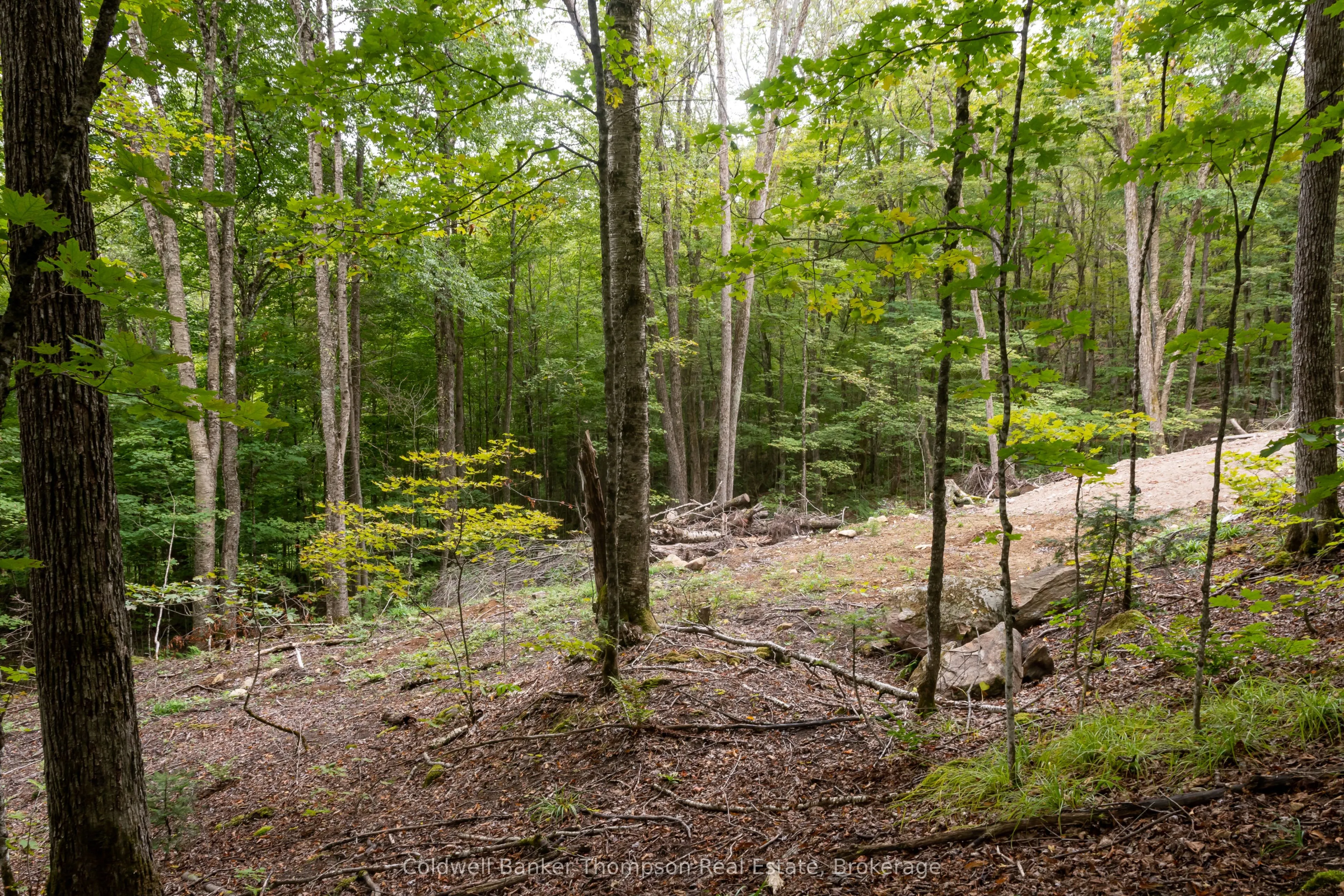 Lot 4 Emsdale Lake Road