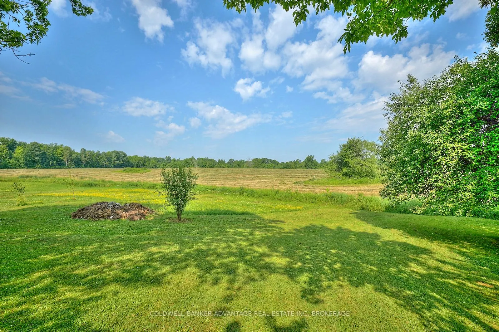 3314 TRINITY CHURCH Road