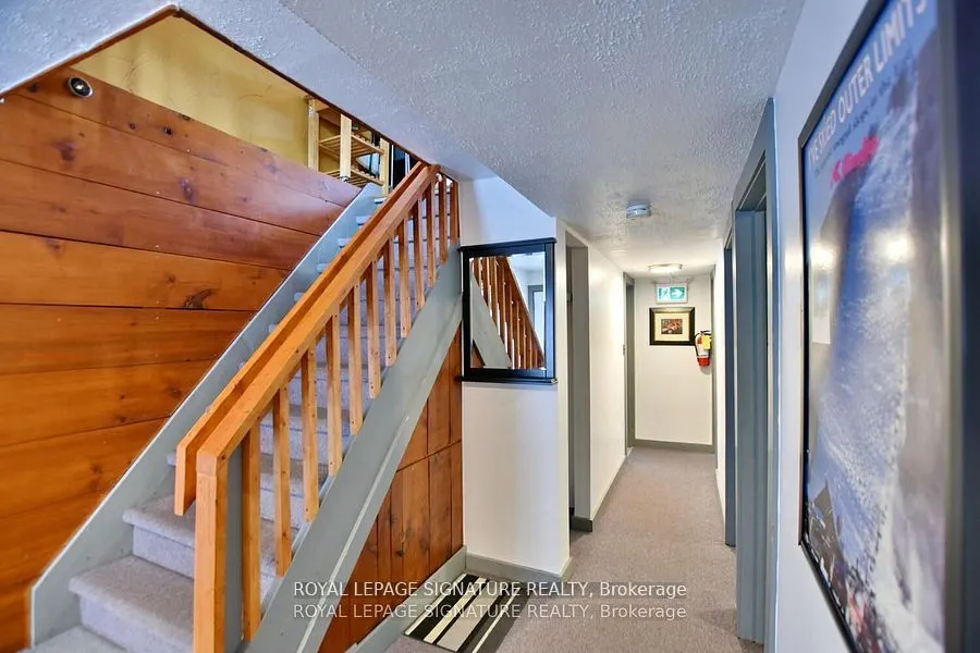 163 Tyrolean Lane