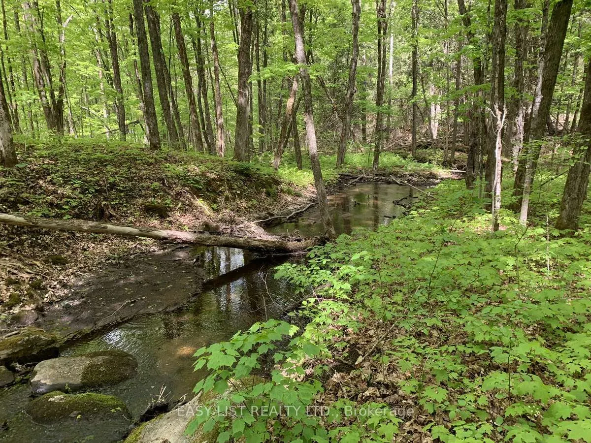 Lot 1 Colonial Road