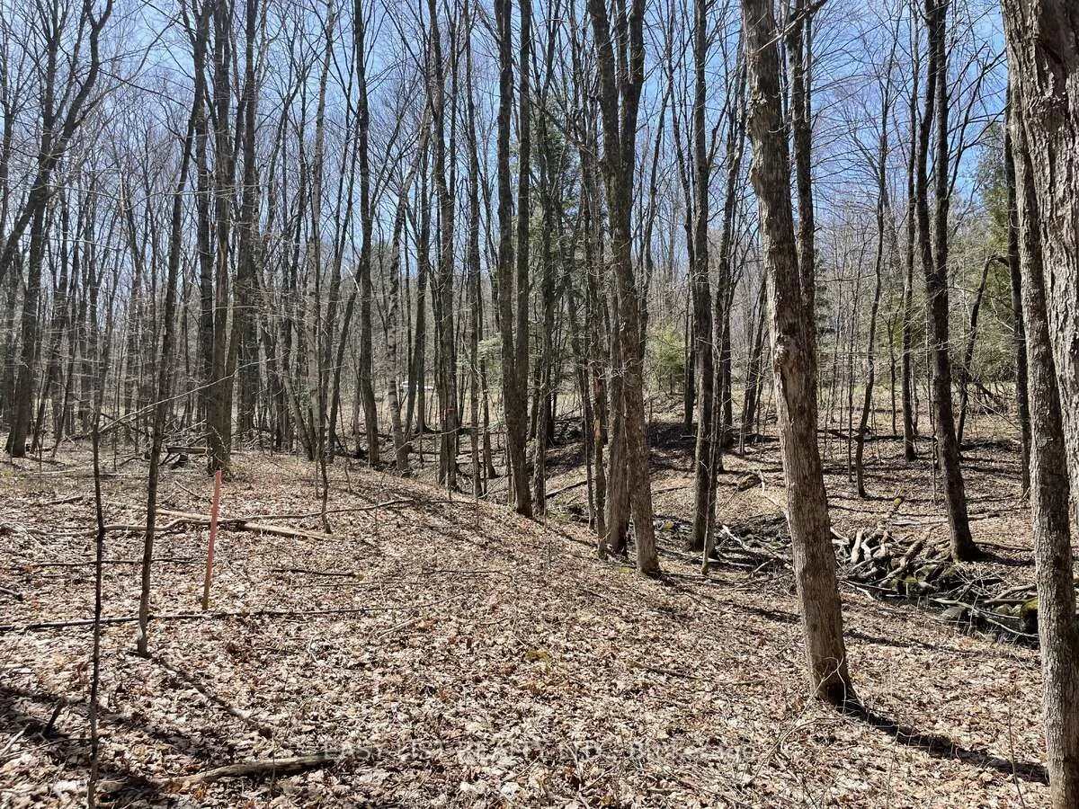 Lot 1 Colonial Road