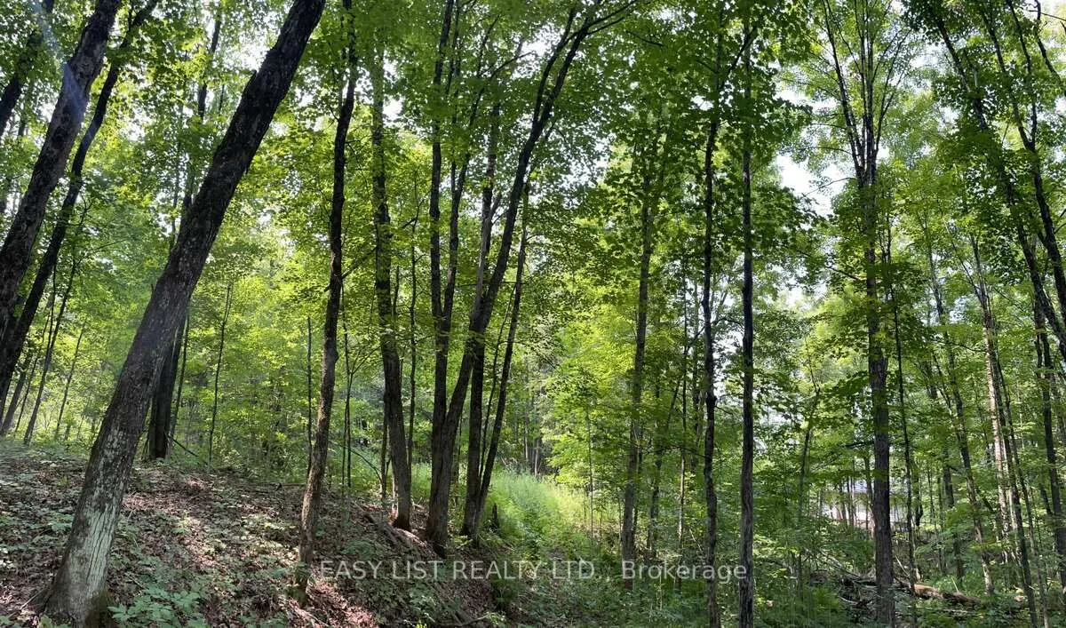 Lot 1 Colonial Road