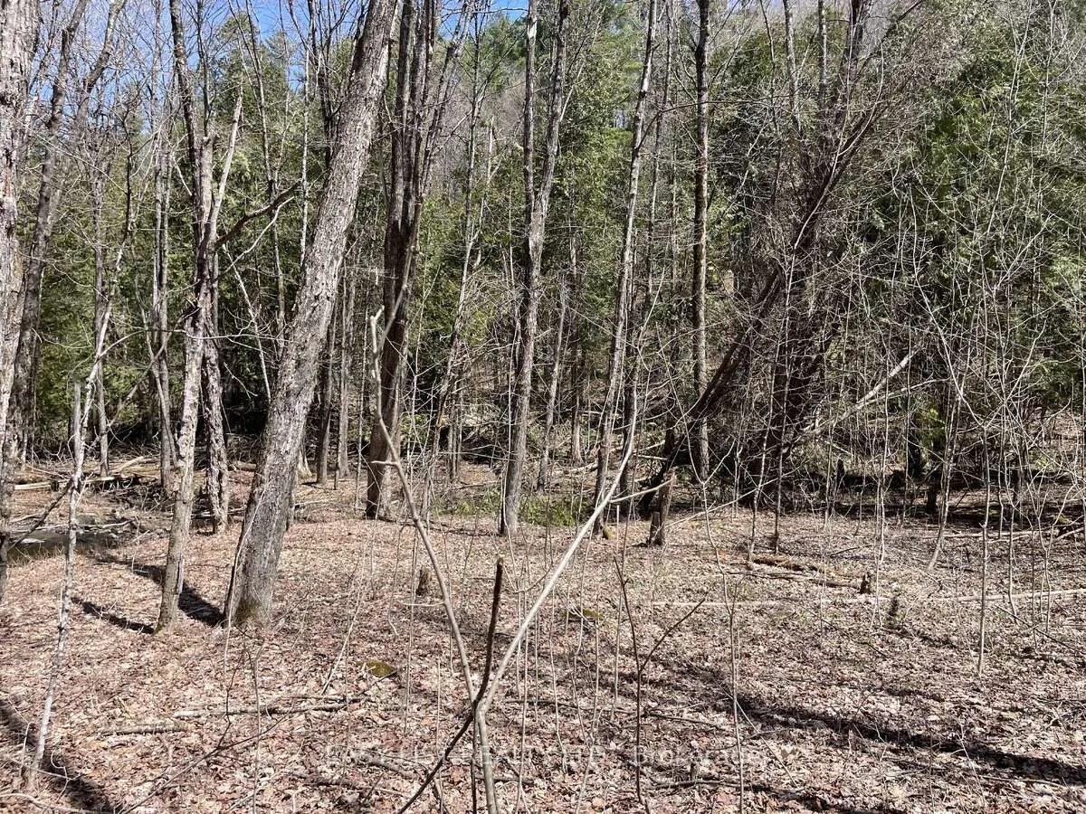 Lot 1 Colonial Road