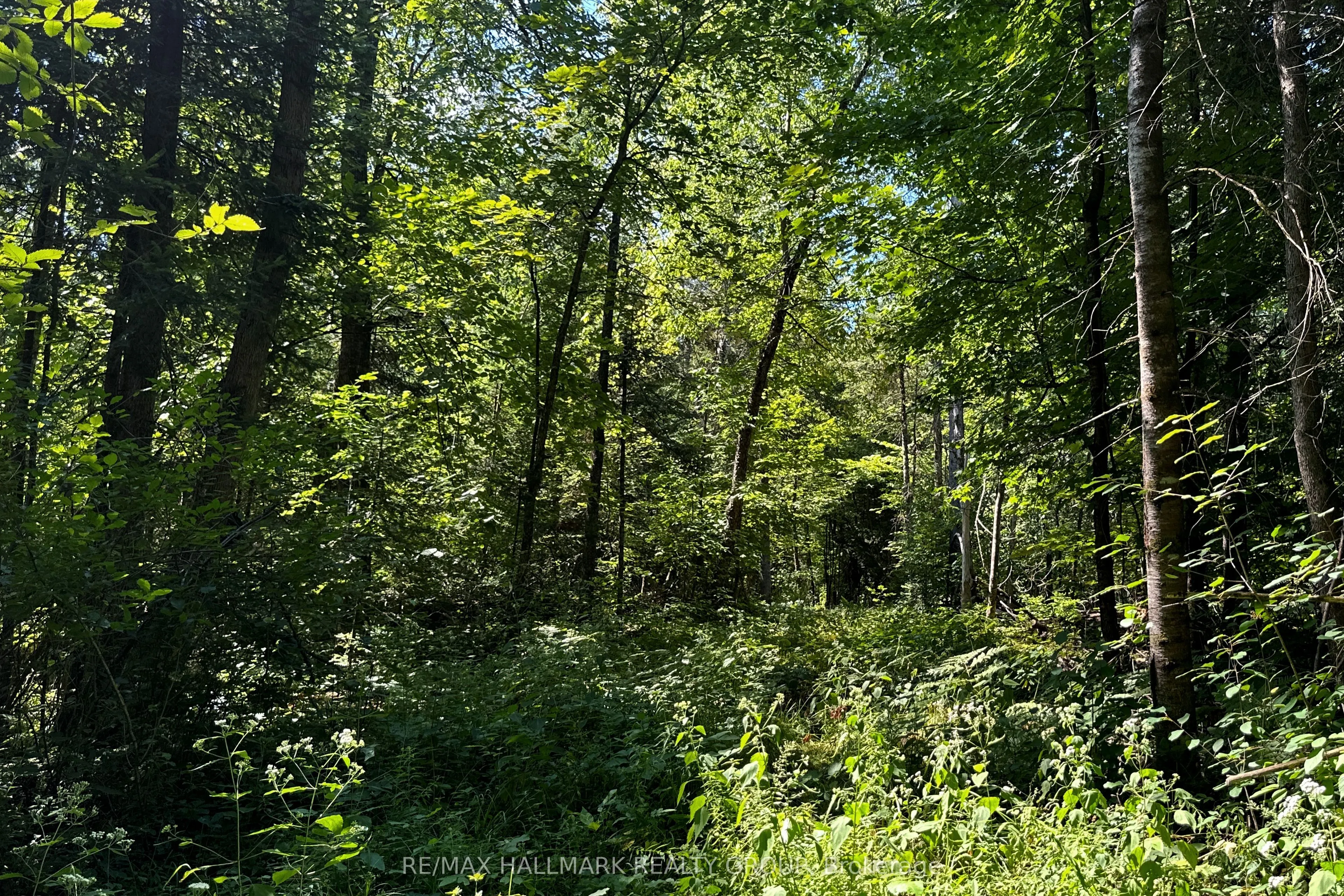 2485 Marshwood Road