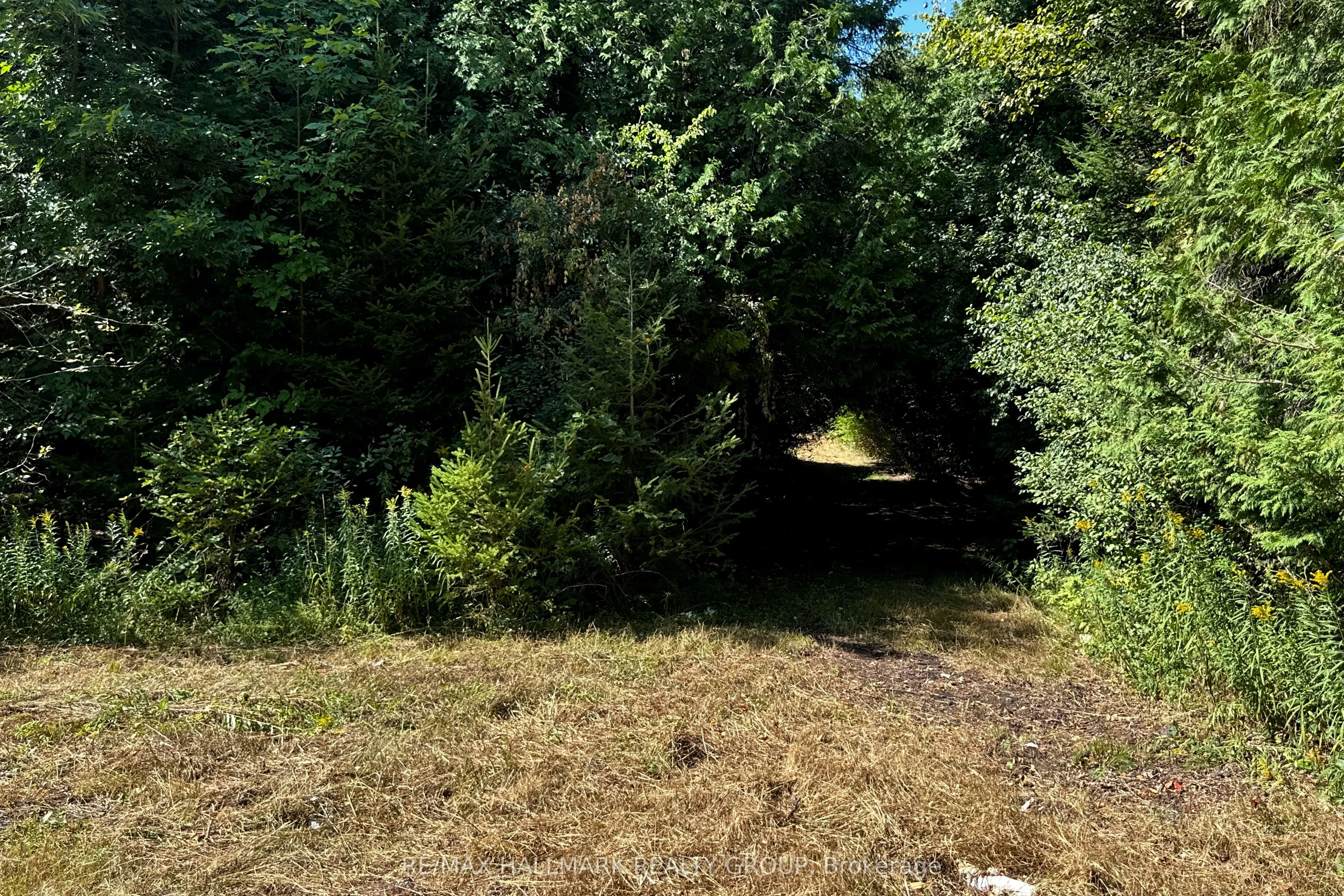 2485 Marshwood Road