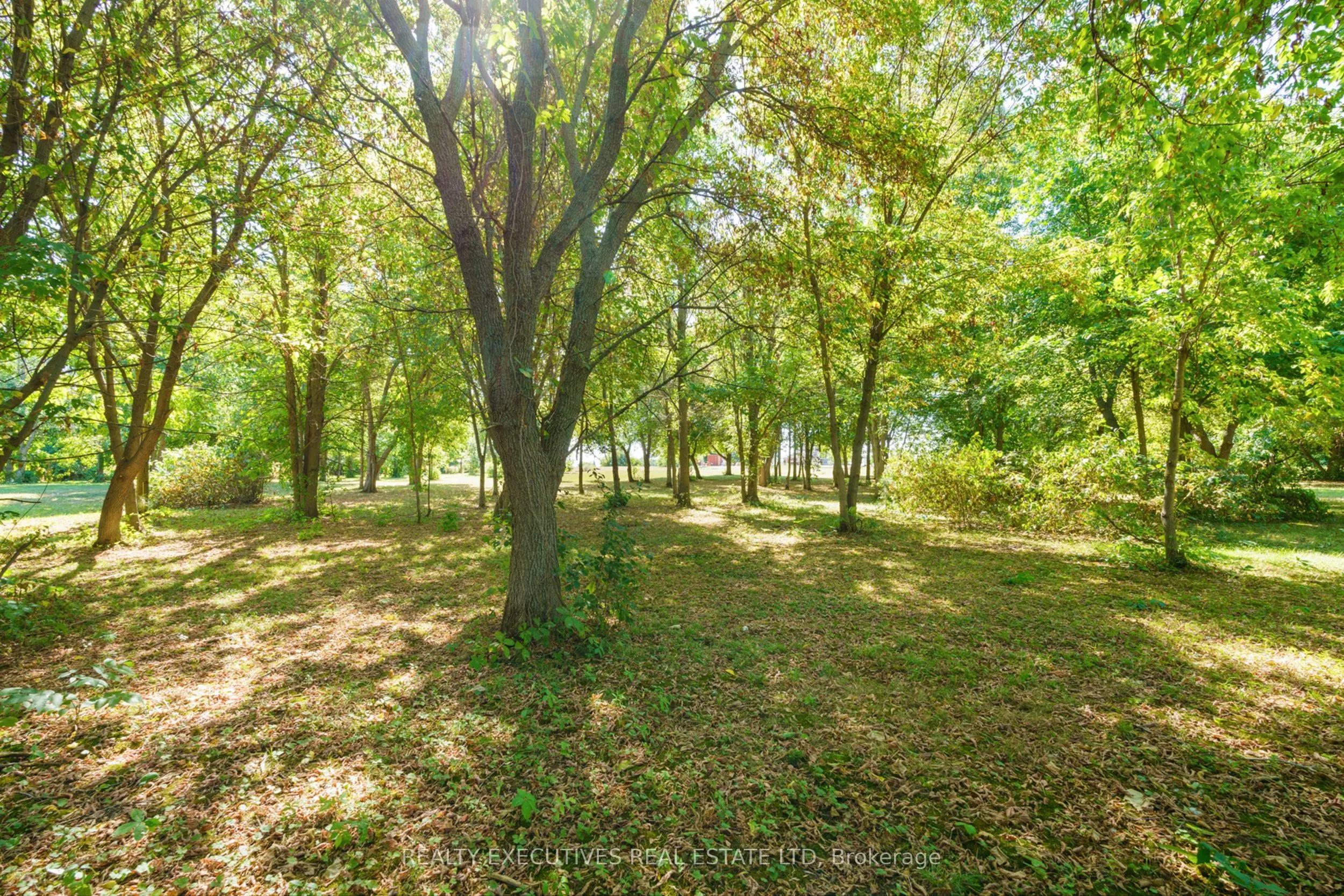 12705 Maple Ridge Road