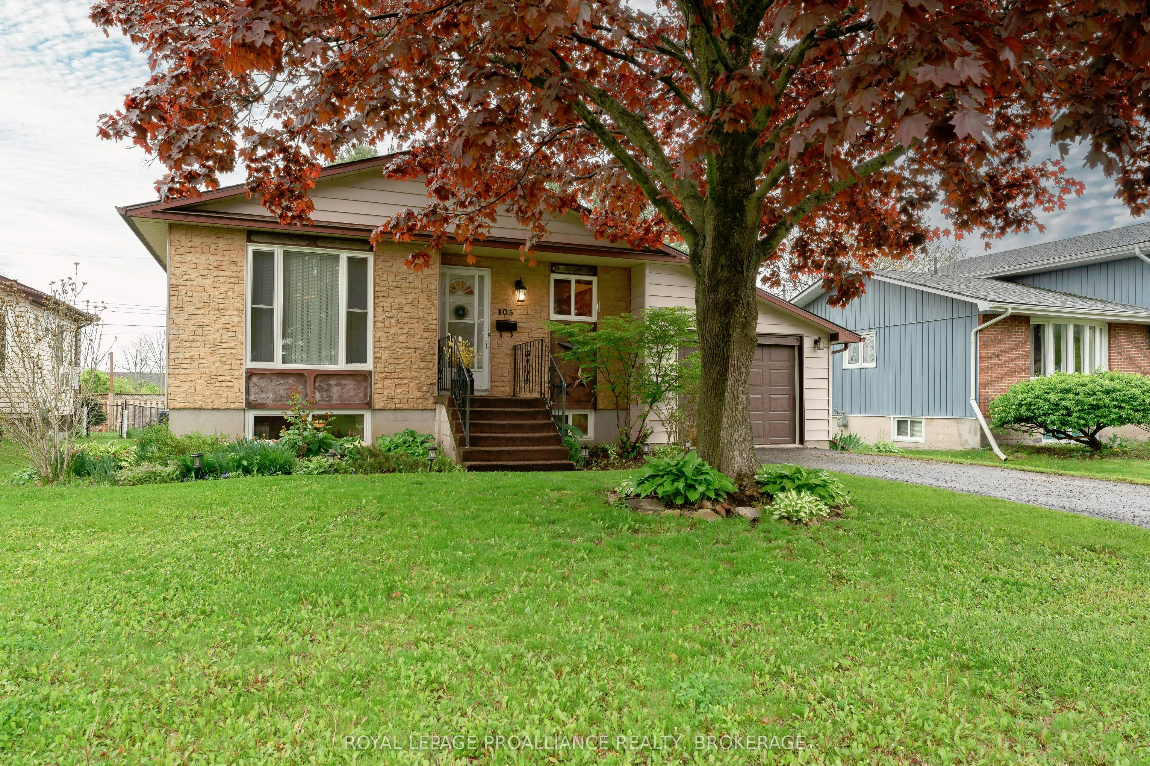 103 Elmwood Drive