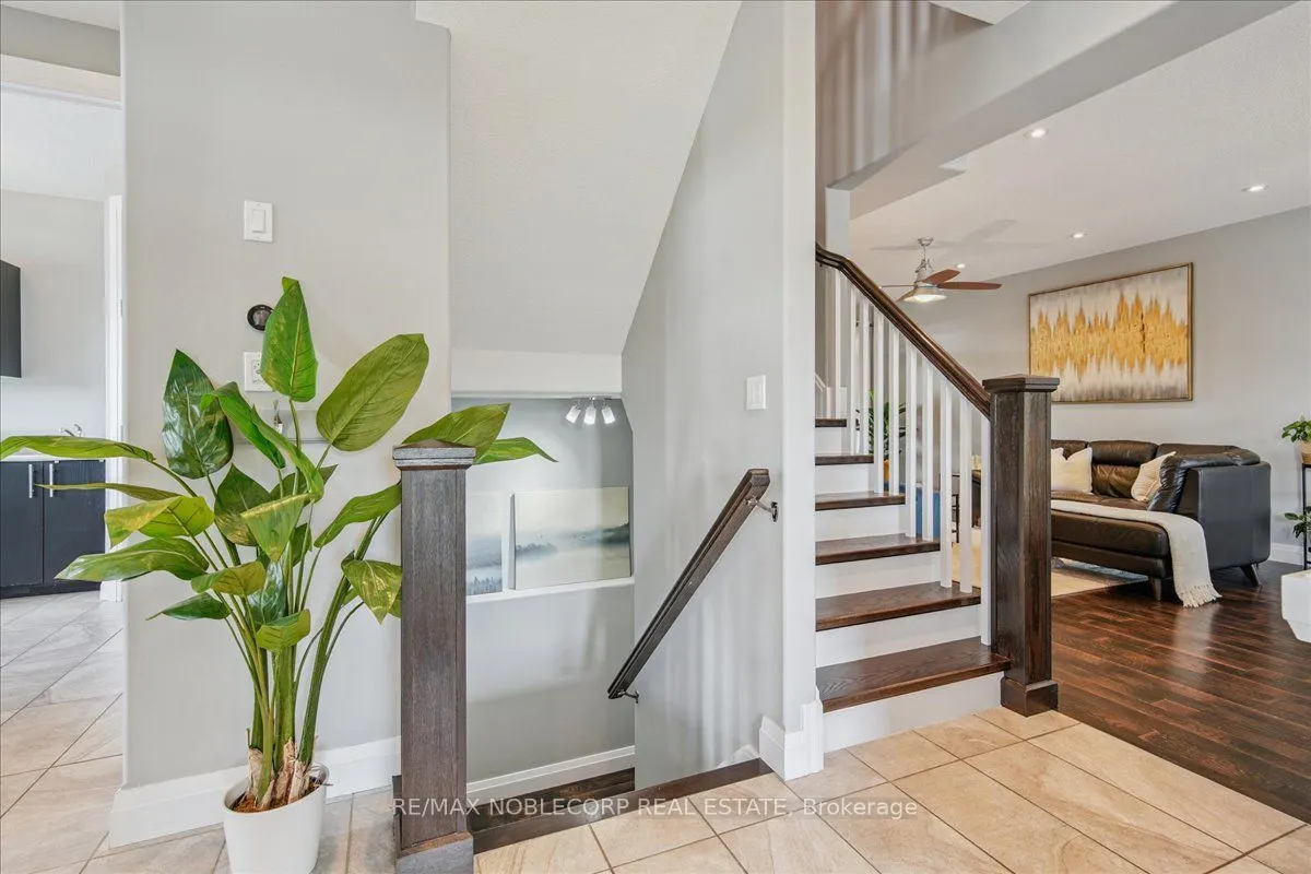 232 Maple Bush Drive