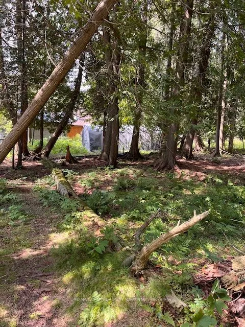750 Hemlock Island