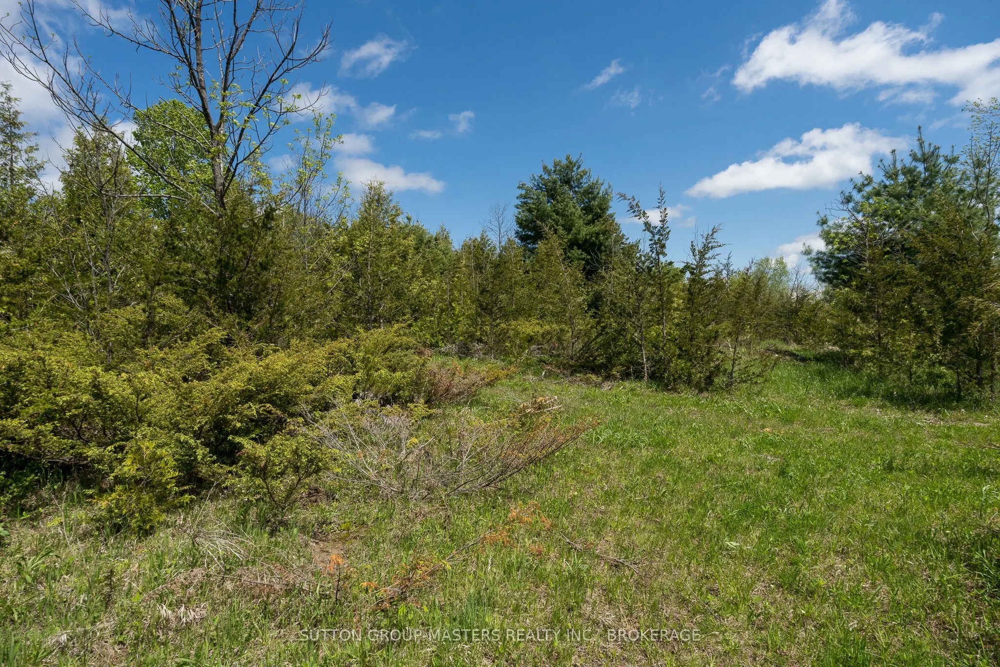 00 McCutcheon Road