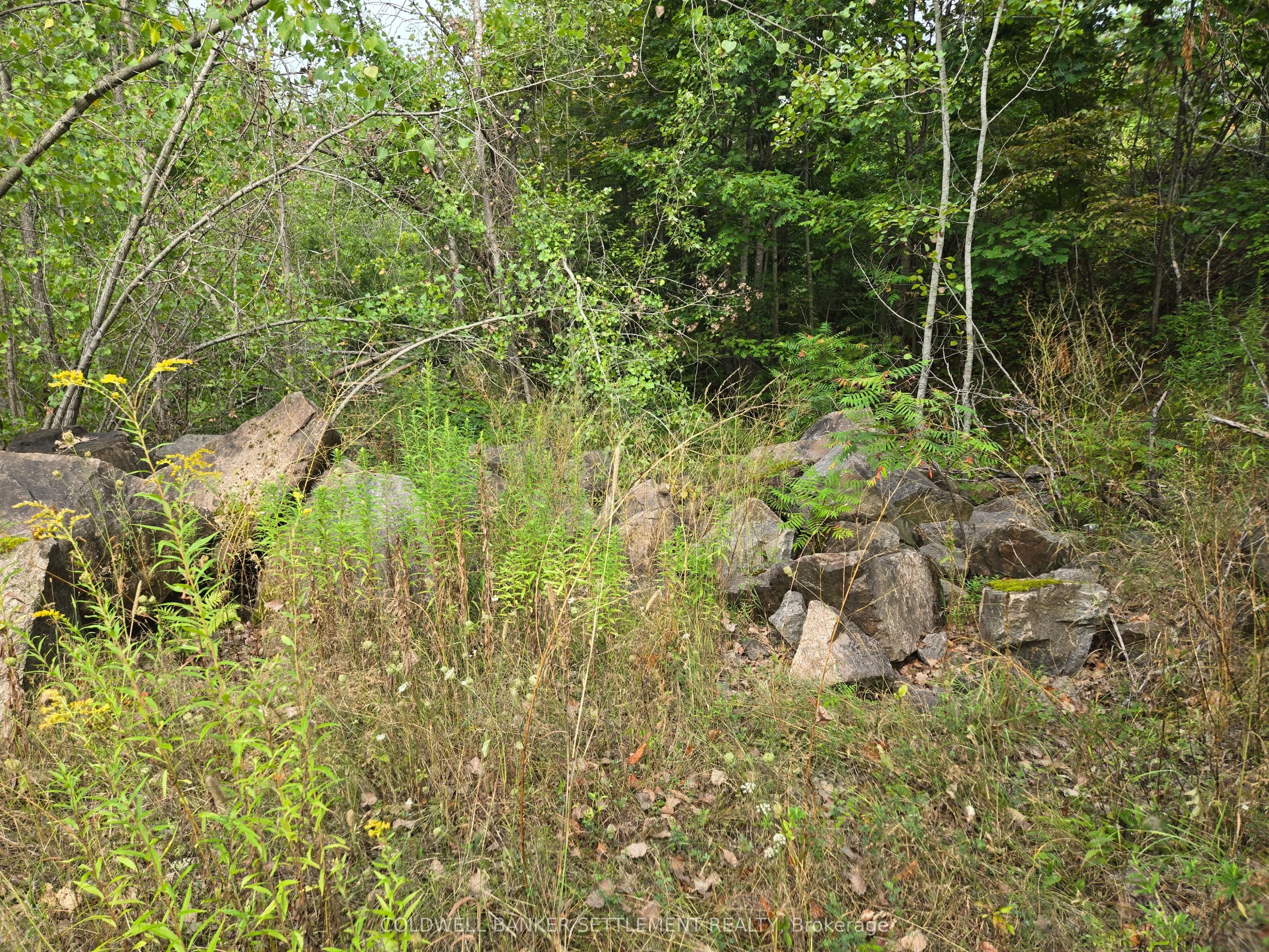 0 Second Depot Lake Road