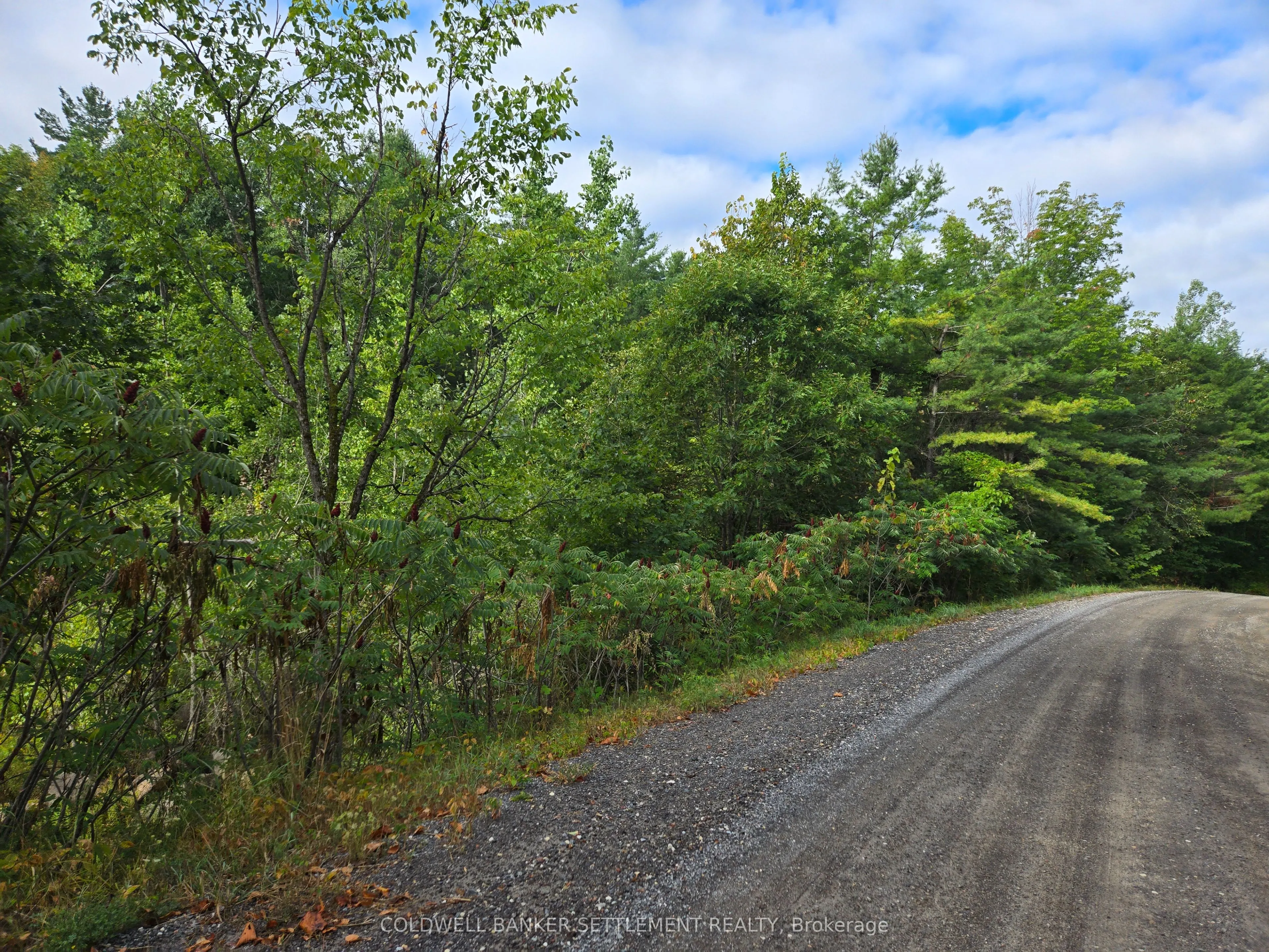 0 Second Depot Lake Road