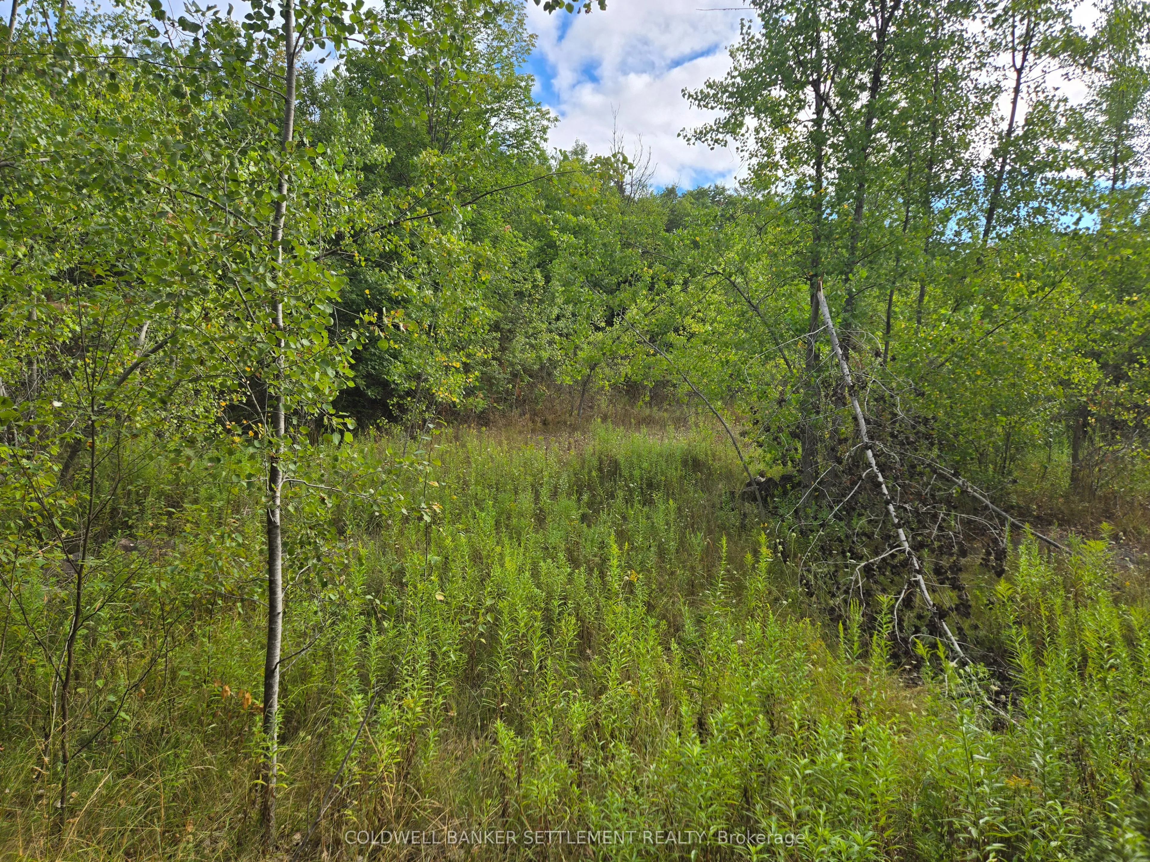 0 Second Depot Lake Road