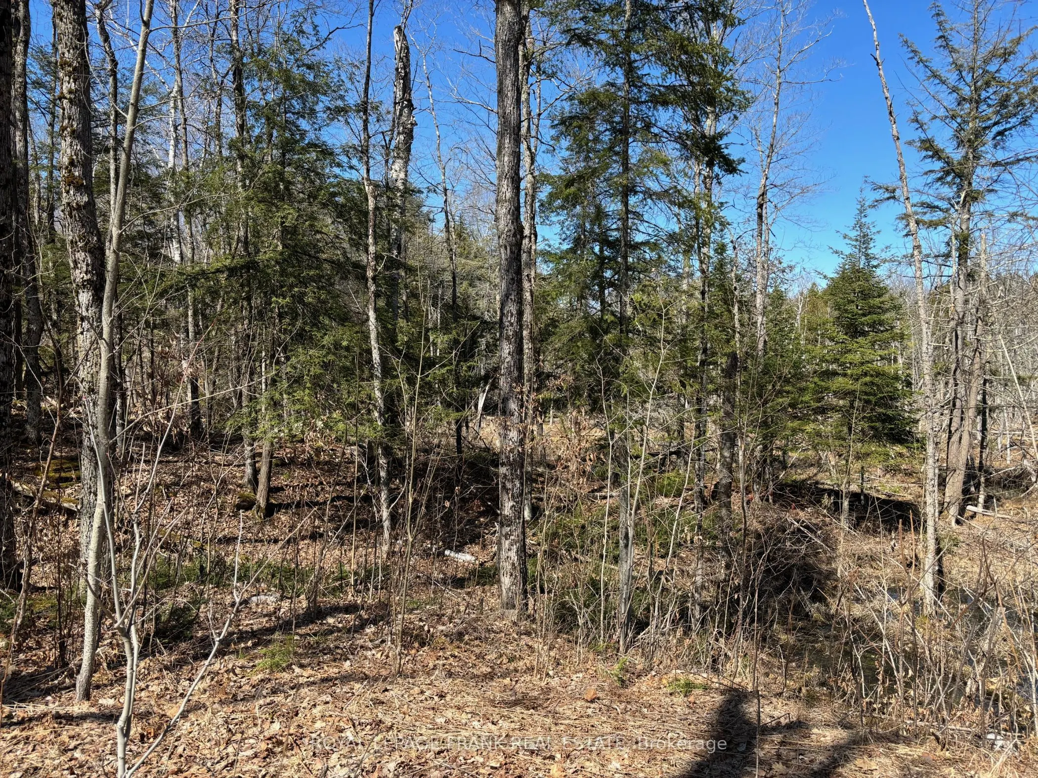 185 Julian Lake Road