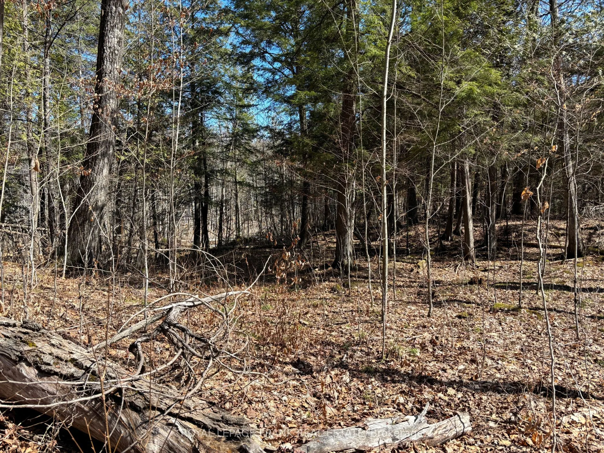 185 Julian Lake Road