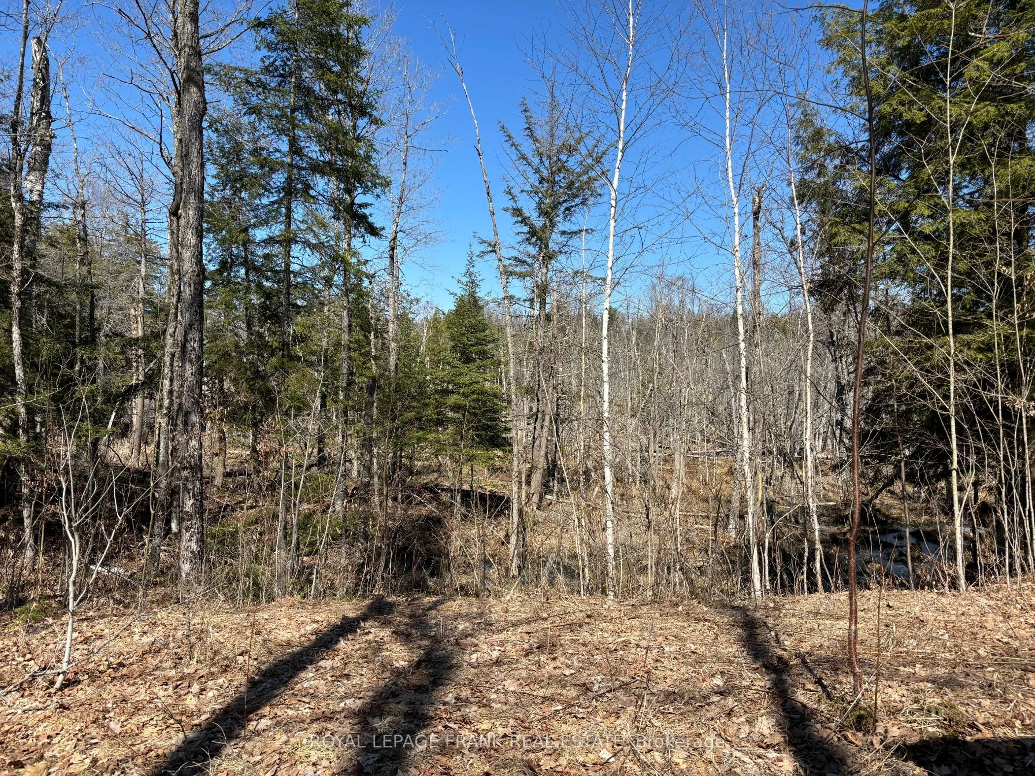 185 Julian Lake Road