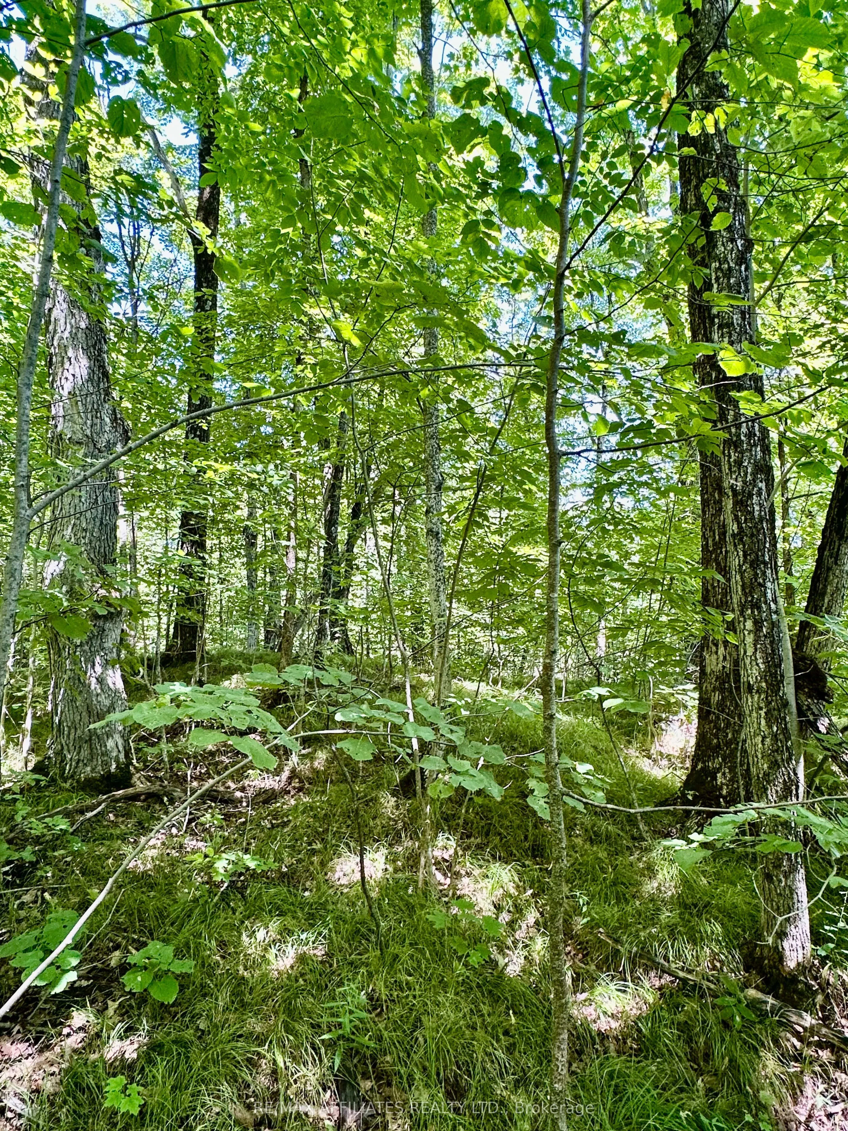 00 STEIGER Road