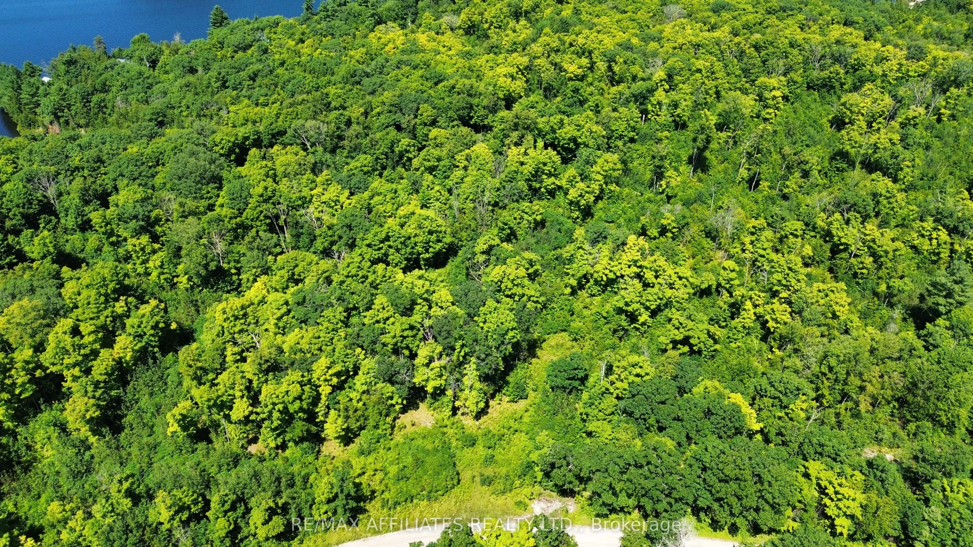 00 STEIGER Road