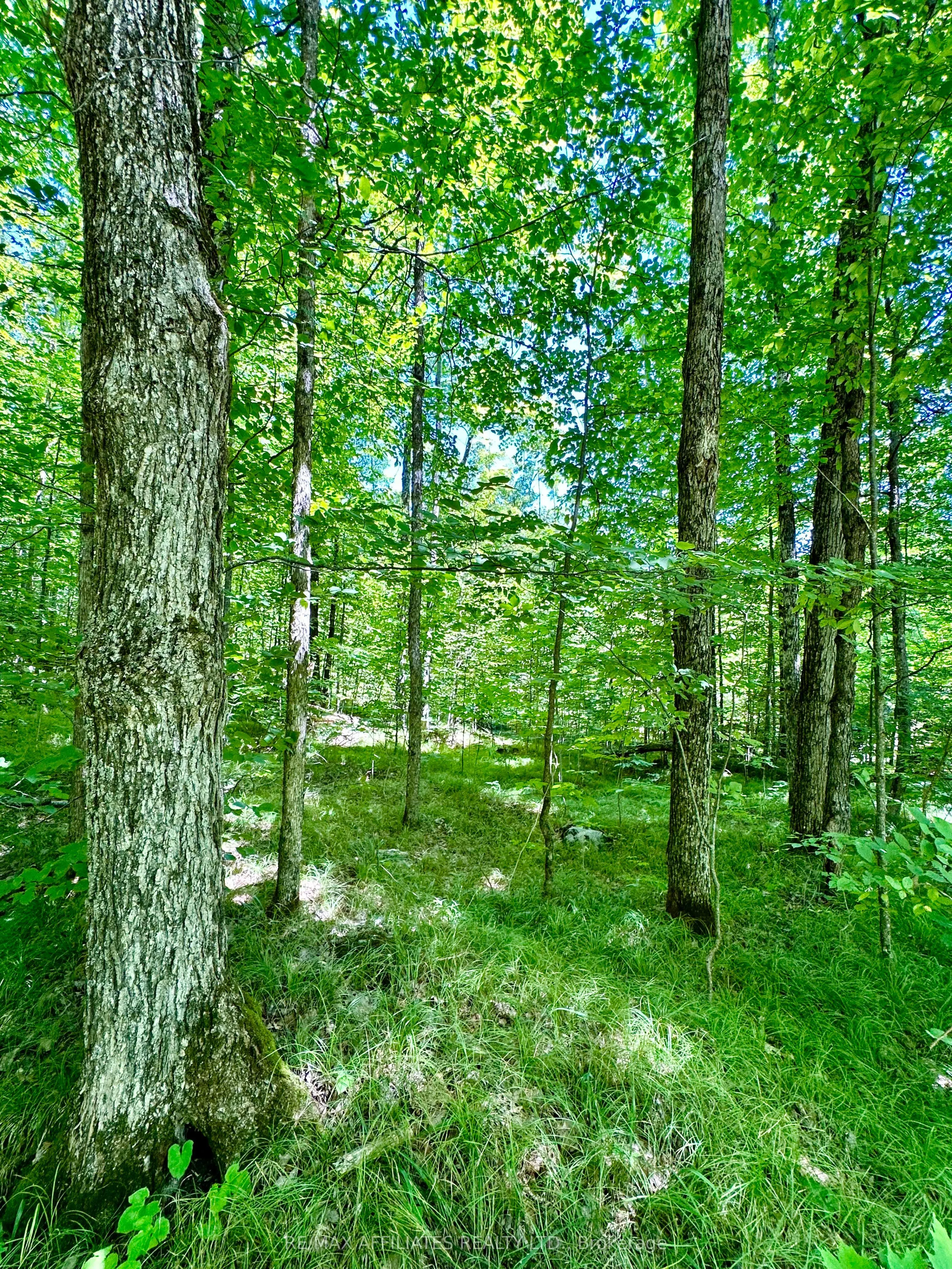 00 STEIGER Road