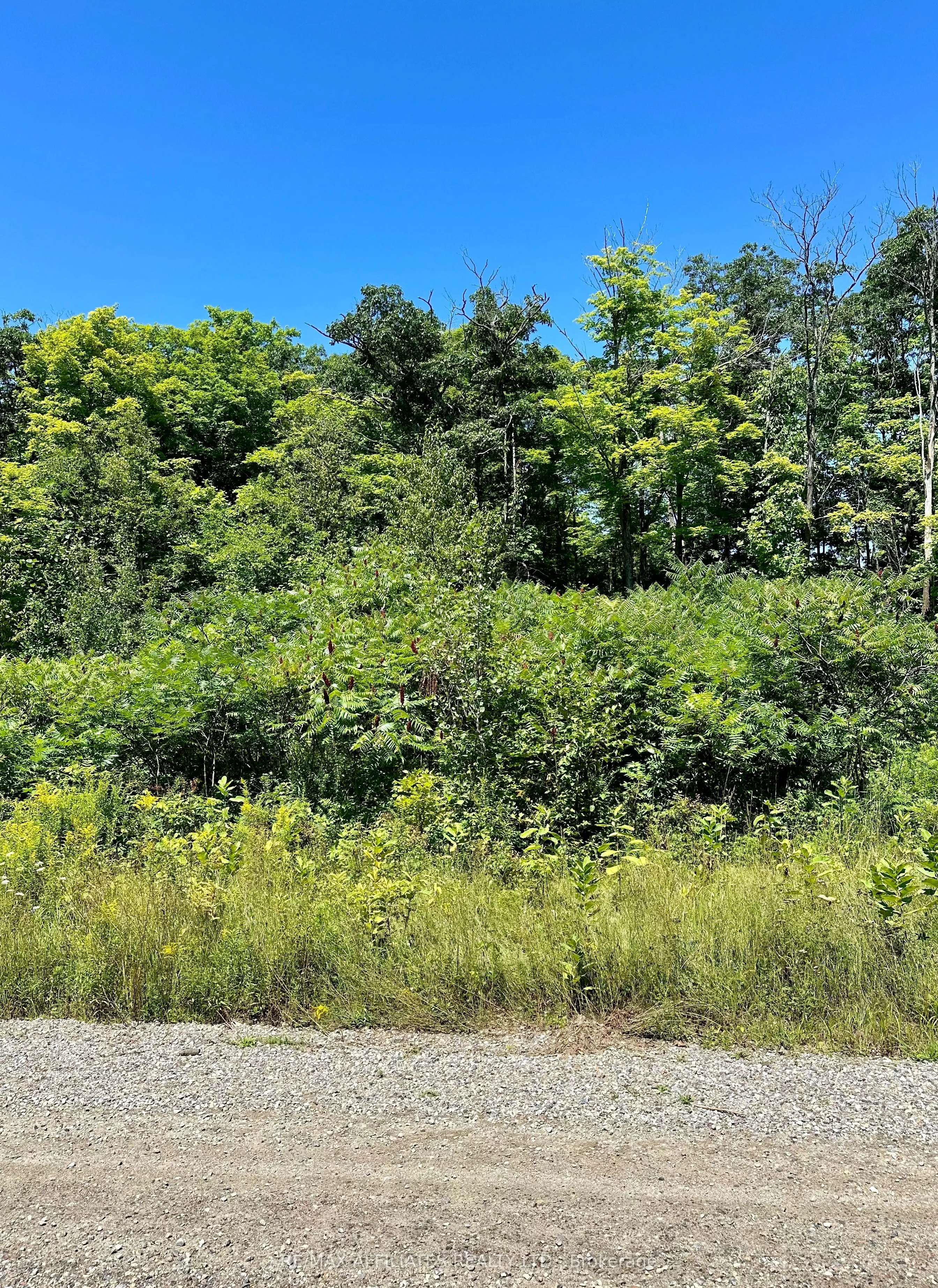00 STEIGER Road