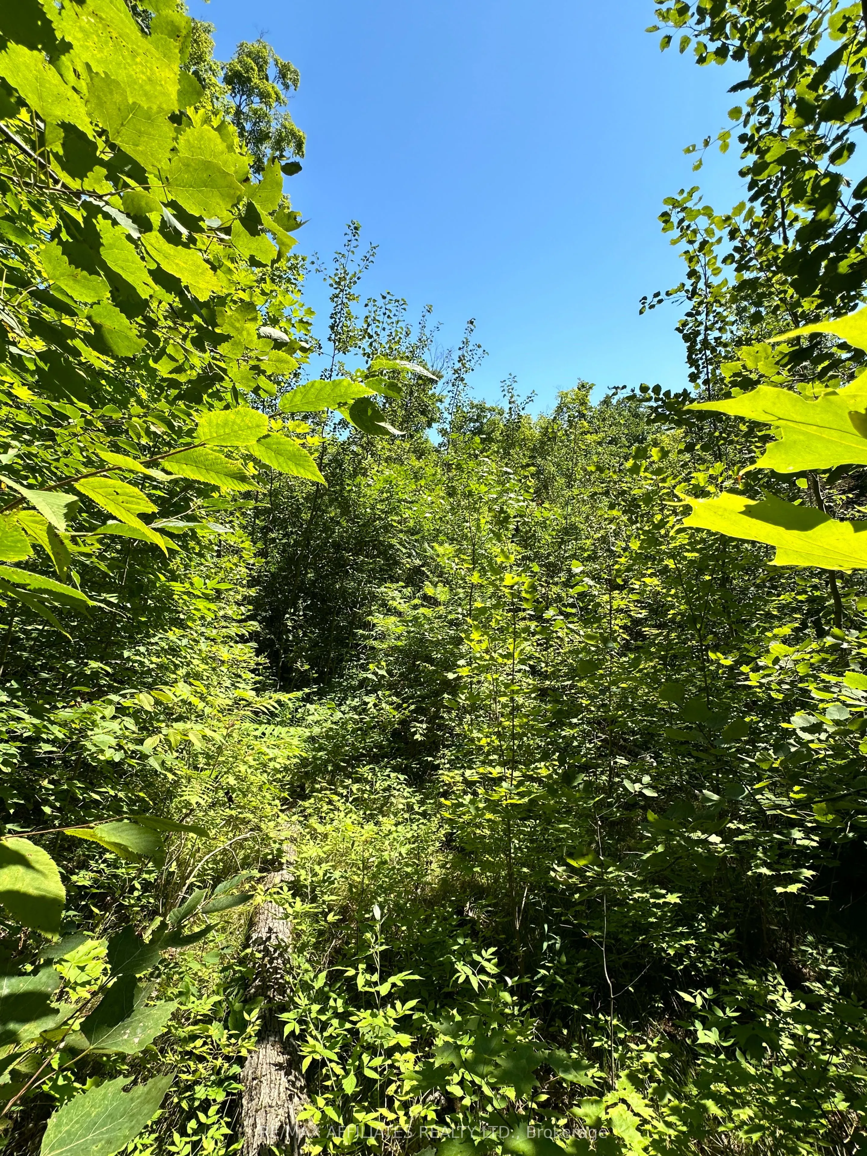 00 STEIGER Road