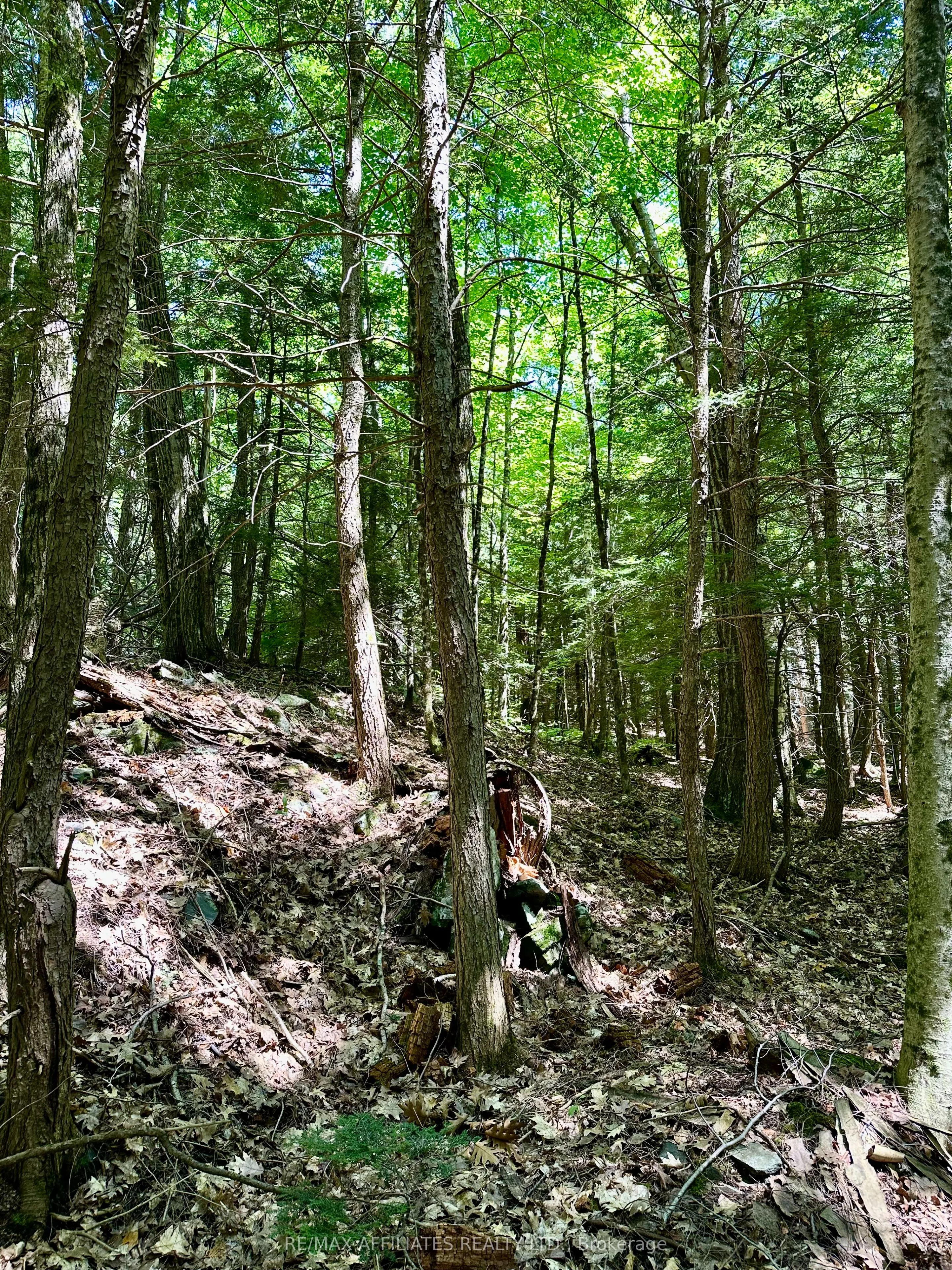 00 STEIGER Road
