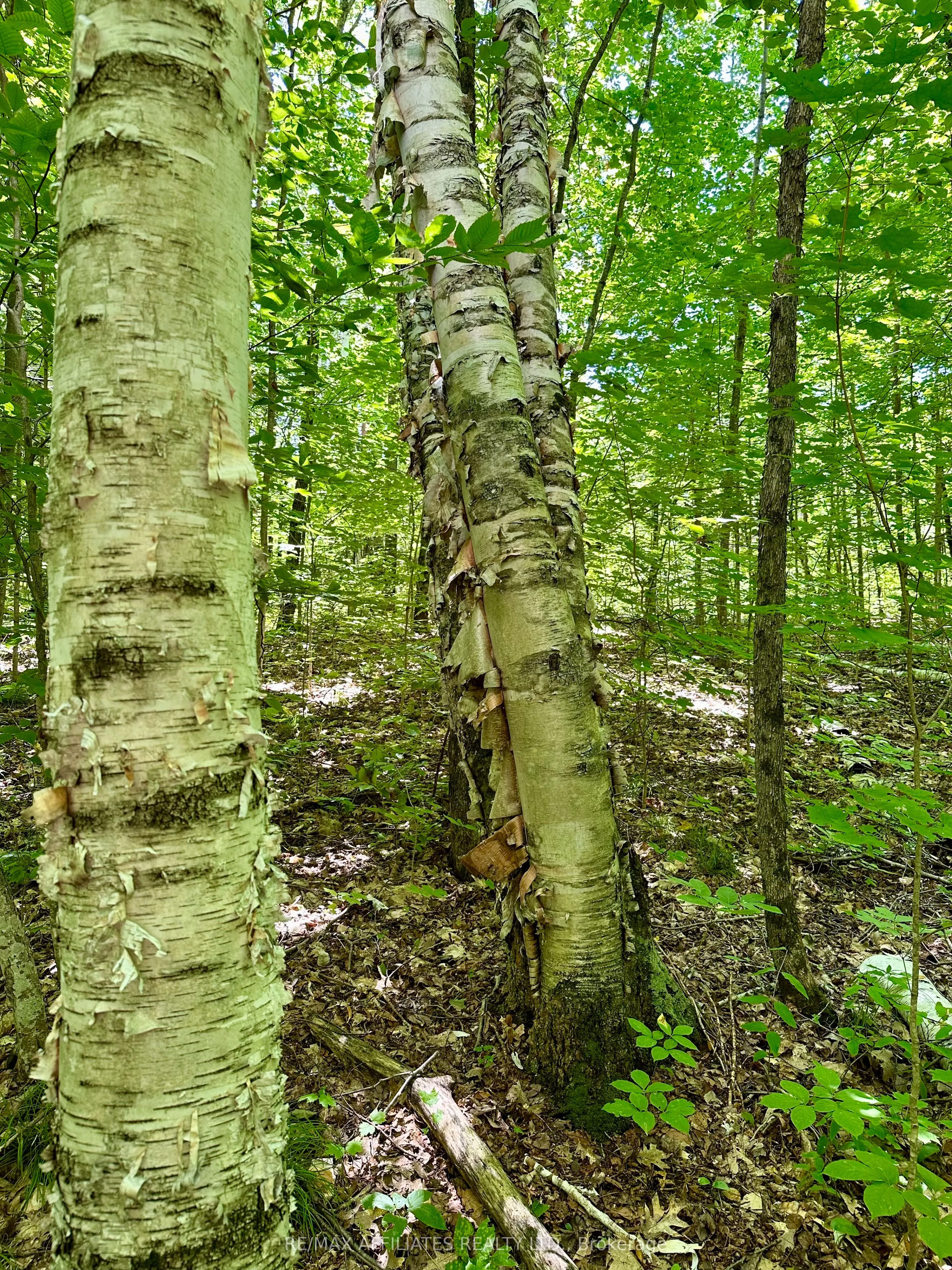 000 KIRK KOVE Road
